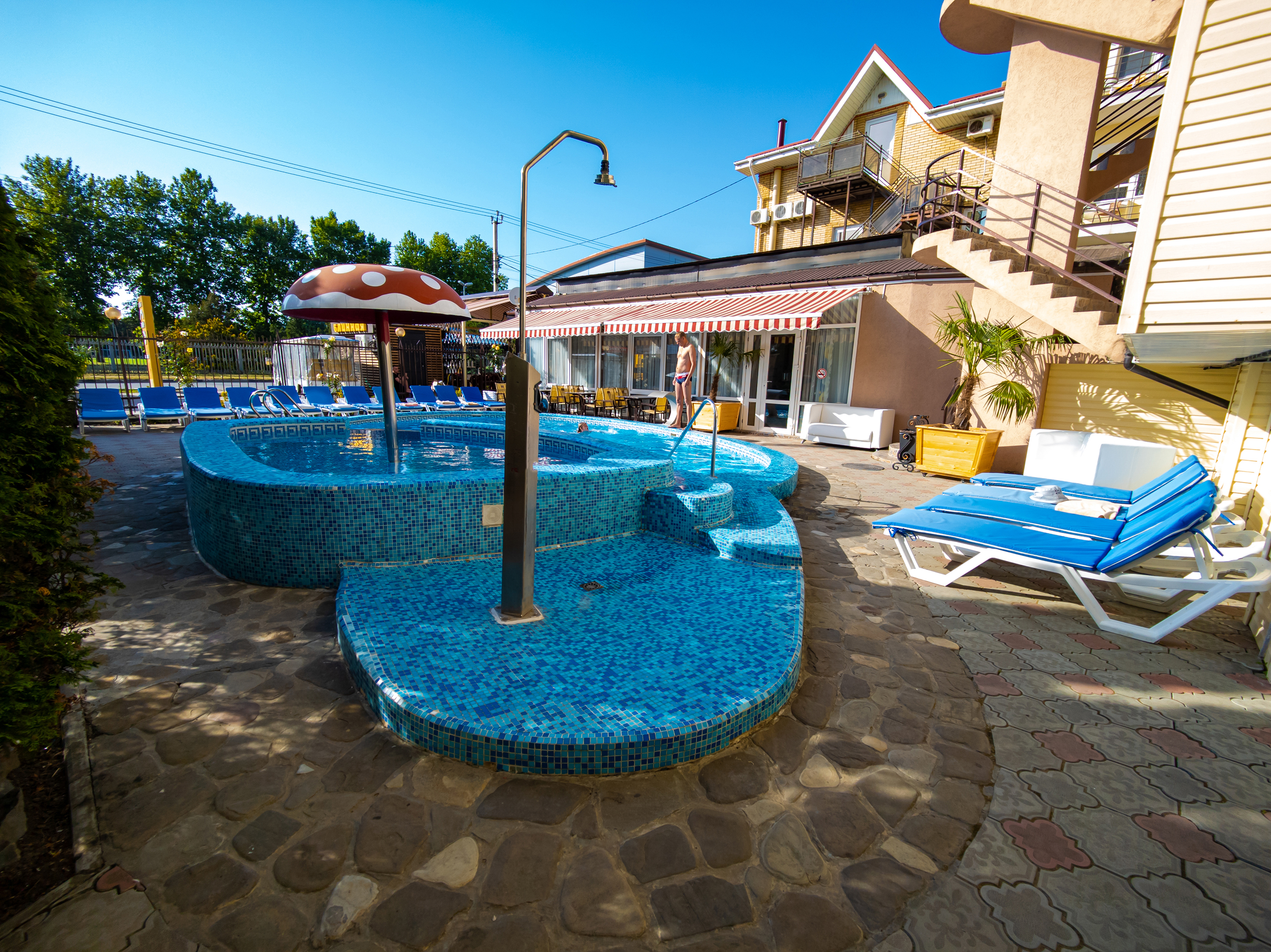 Фото Золотое руно