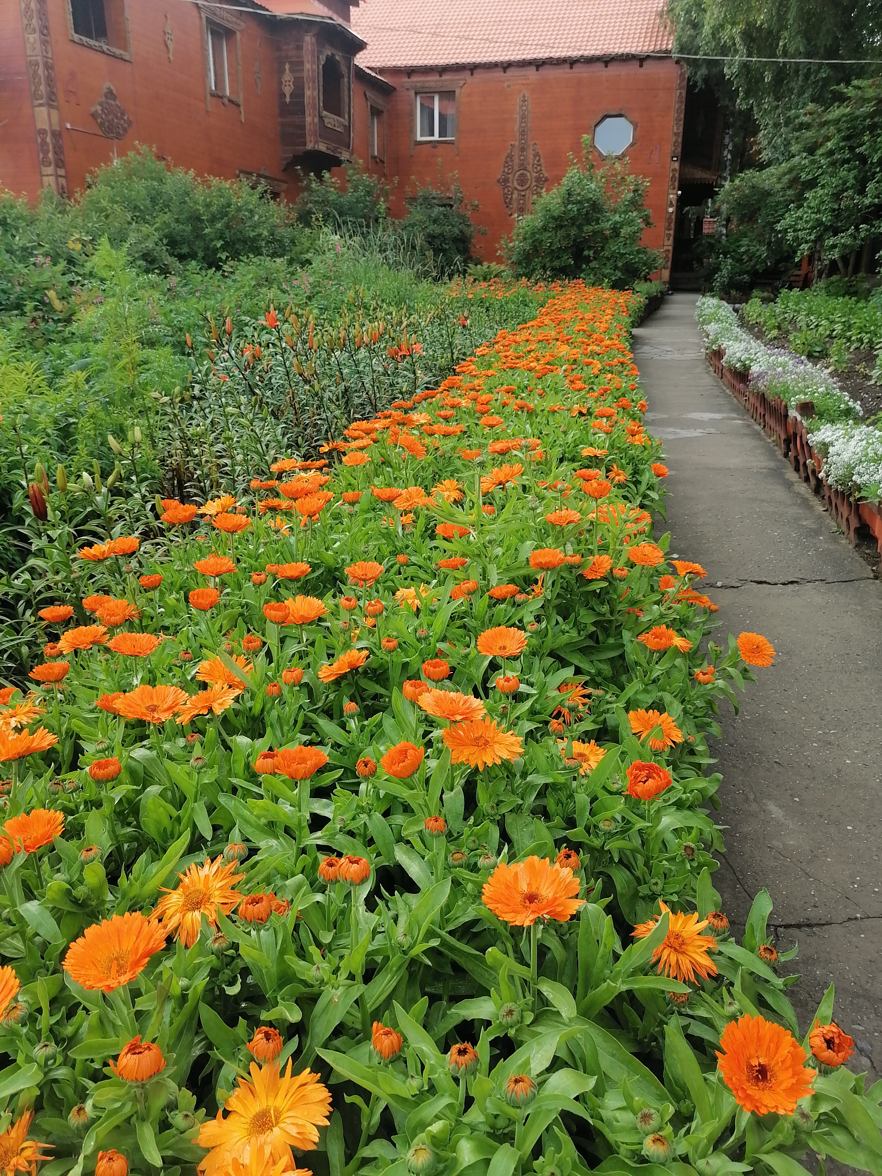 Фото Марьина Роща