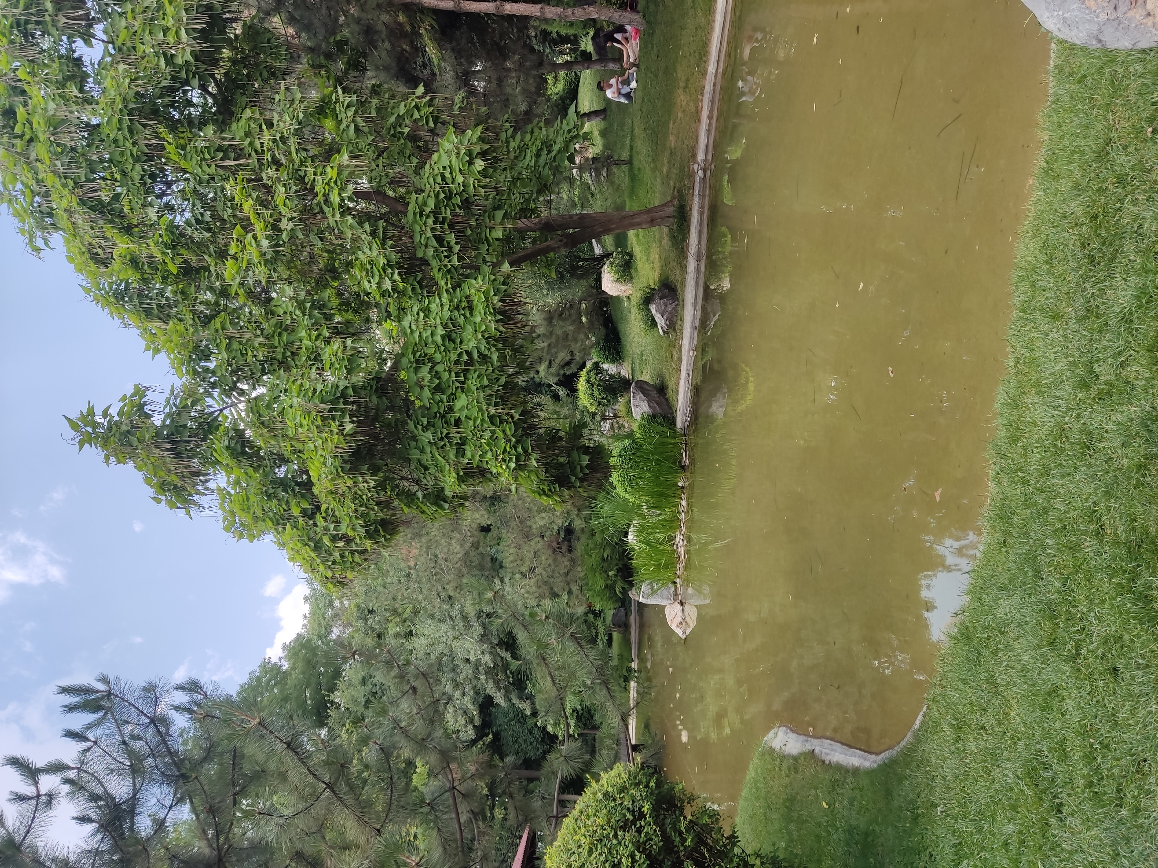 Фото Navruz Hotel Tashkent