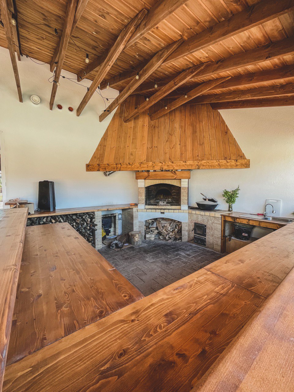 Фото Аммонит