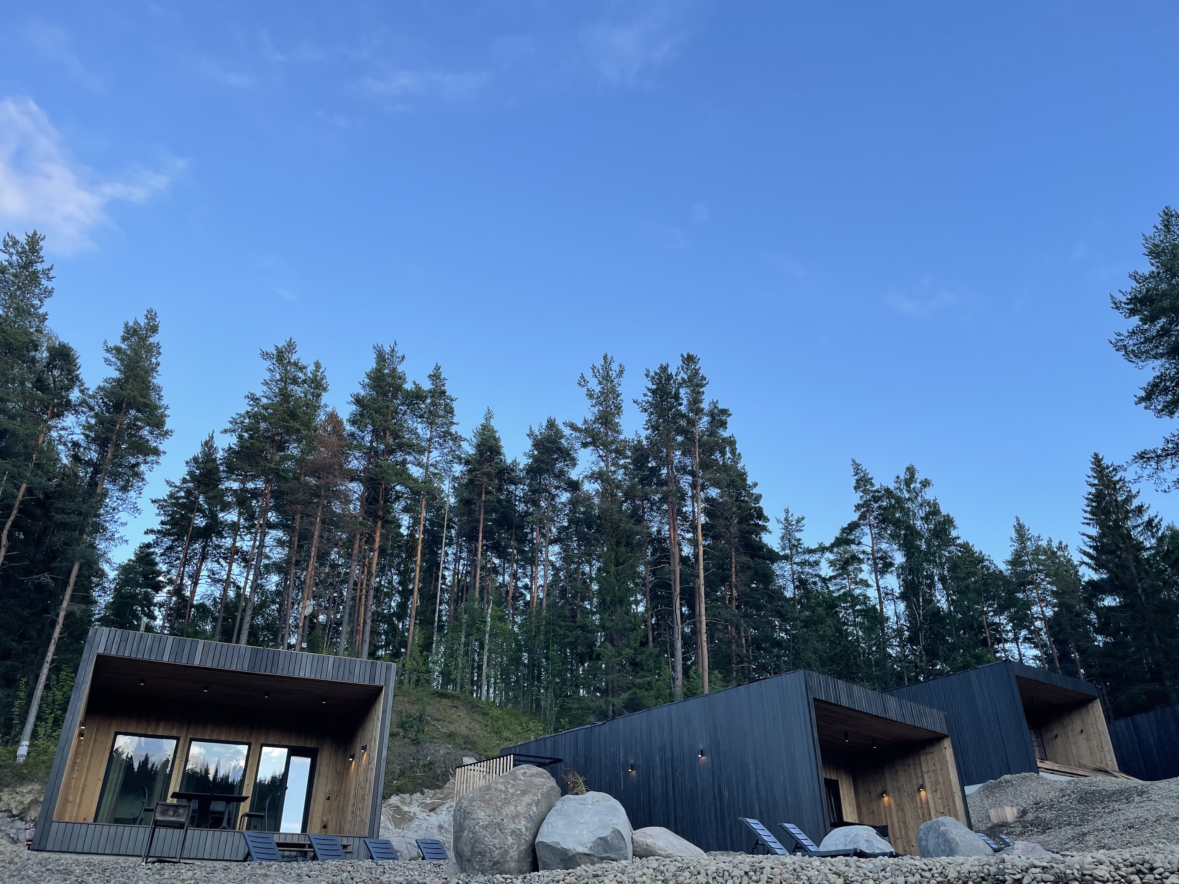 Фото Шелест