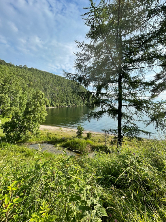 Фото Даурия