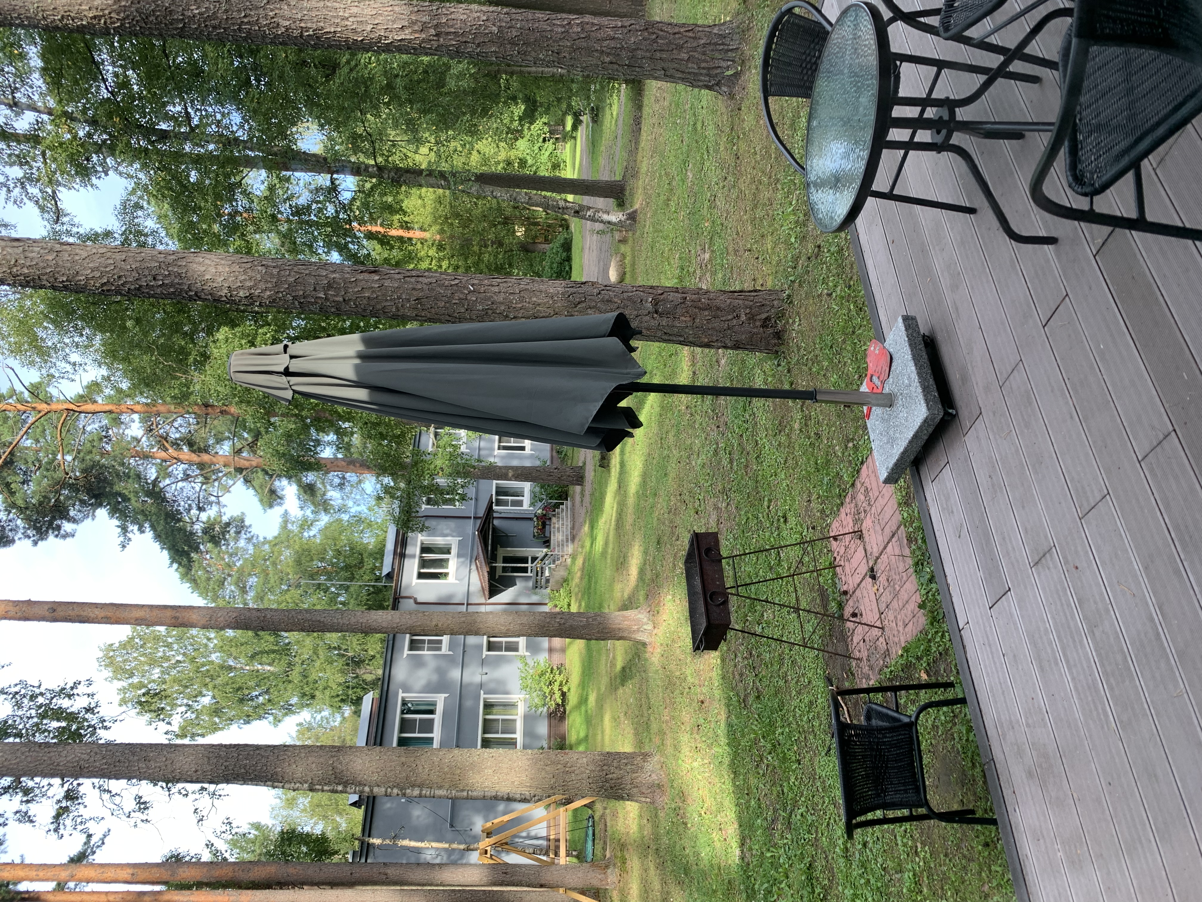 Фото Искатель