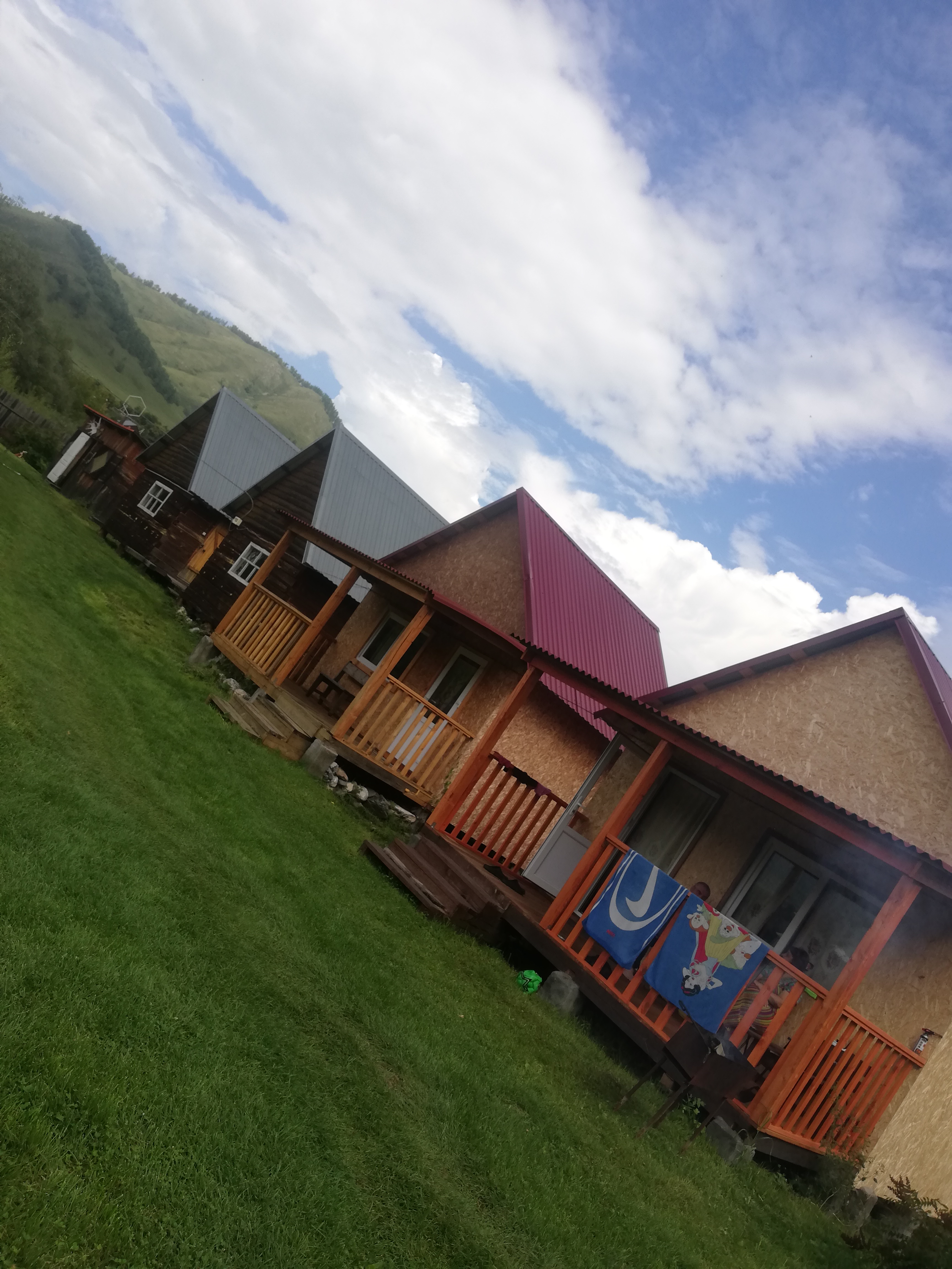 Фото Золотая пчела