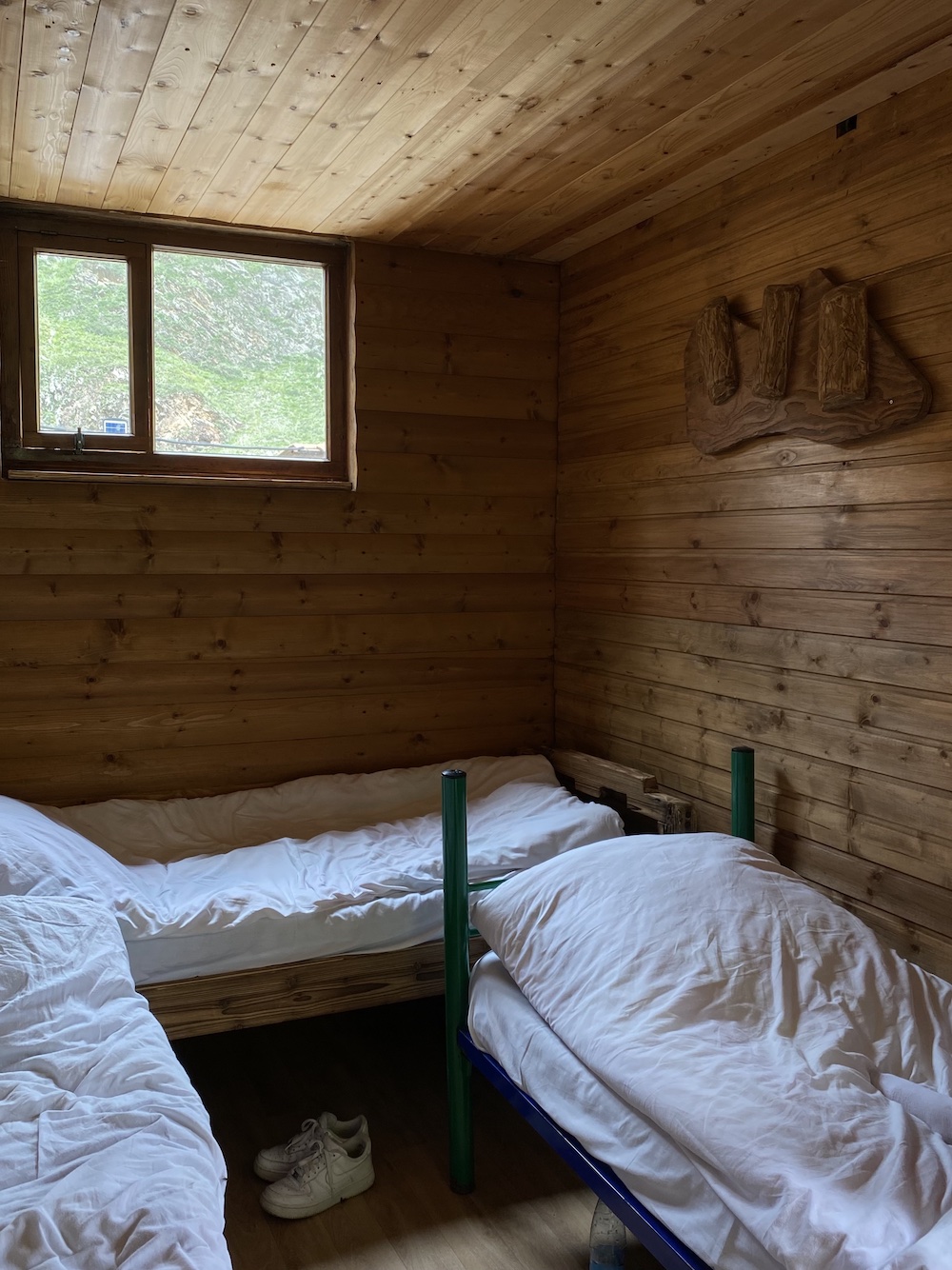 Фото Альпака