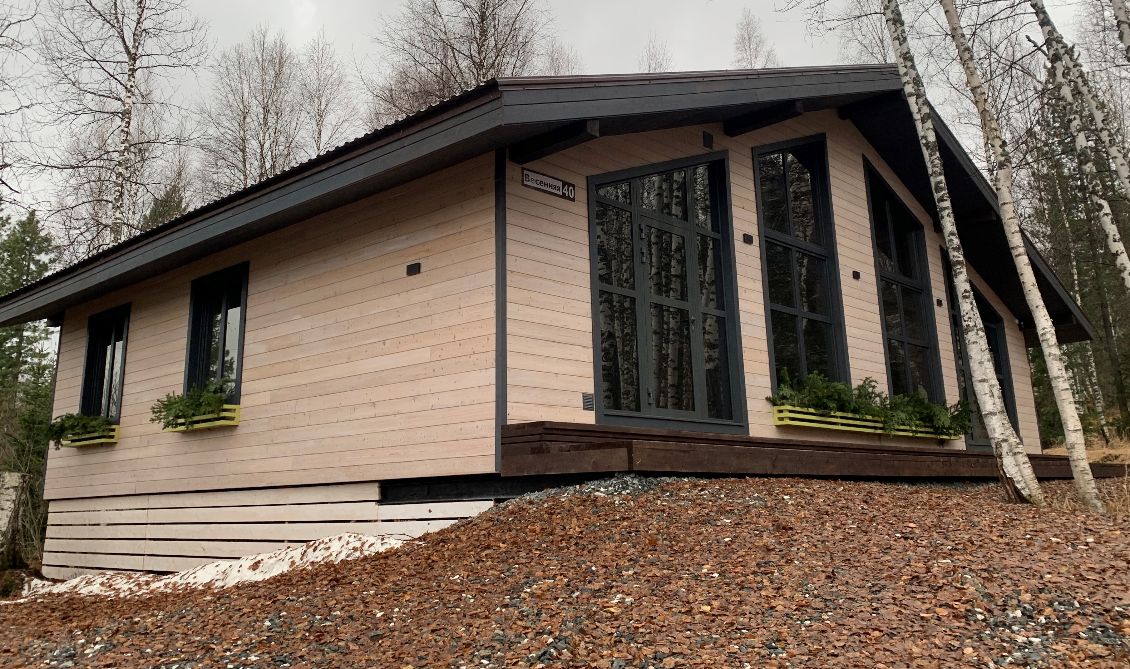 Фото Брусника № 1