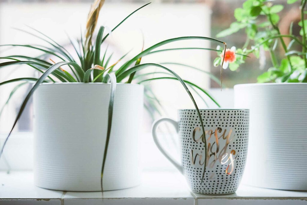 Landscape design Agricultural Group, Dubai, photo