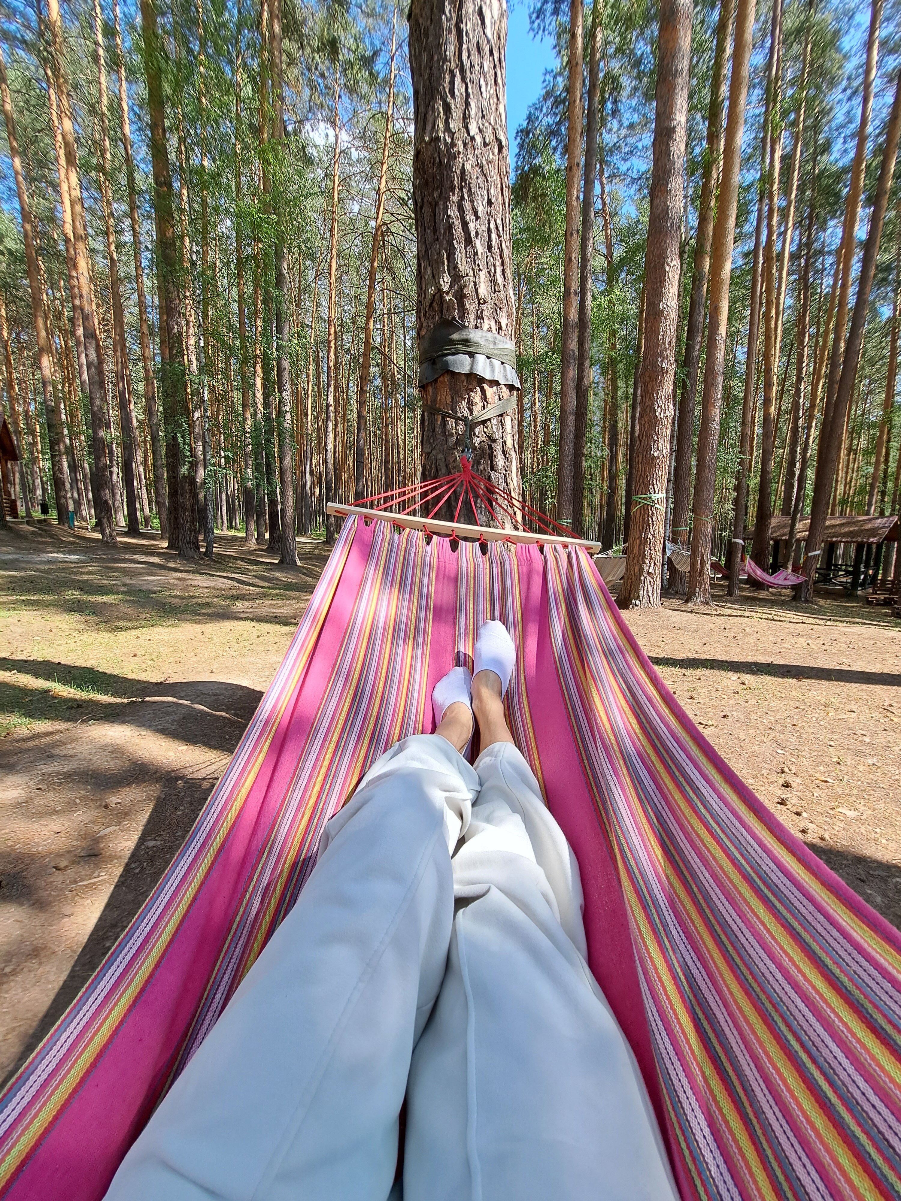 Фото Иволга