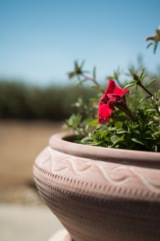 Фото 9 Muses Naxos beach hotel
