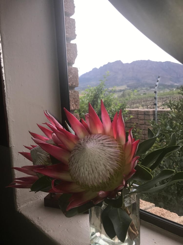 Фото Wellington Country House