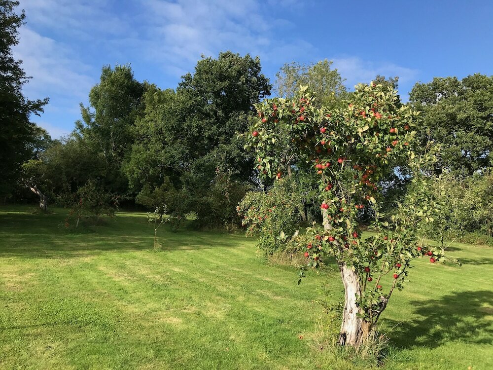 Фото Rosebank Bed & Breakfast