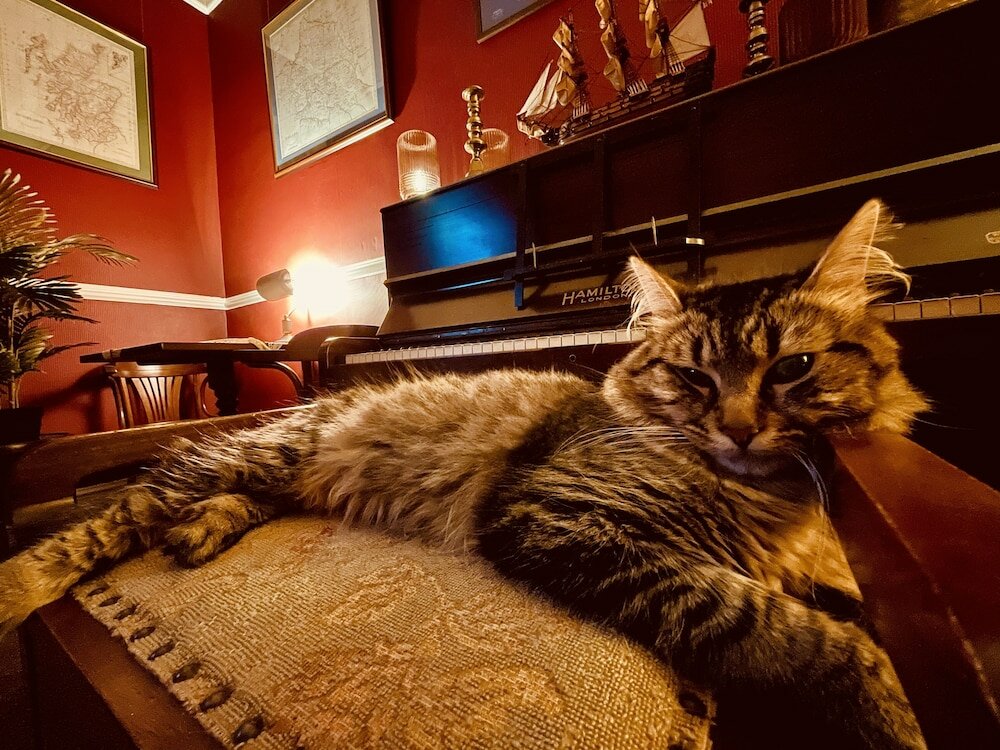 Фото Moffat Independent Hostel