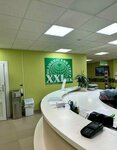XXI век (Dalnevostochniy Avenue, 33к1), medical center, clinic