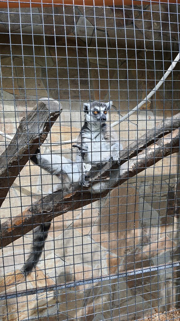 Зоопарк Сказка, Республика Крым, фото