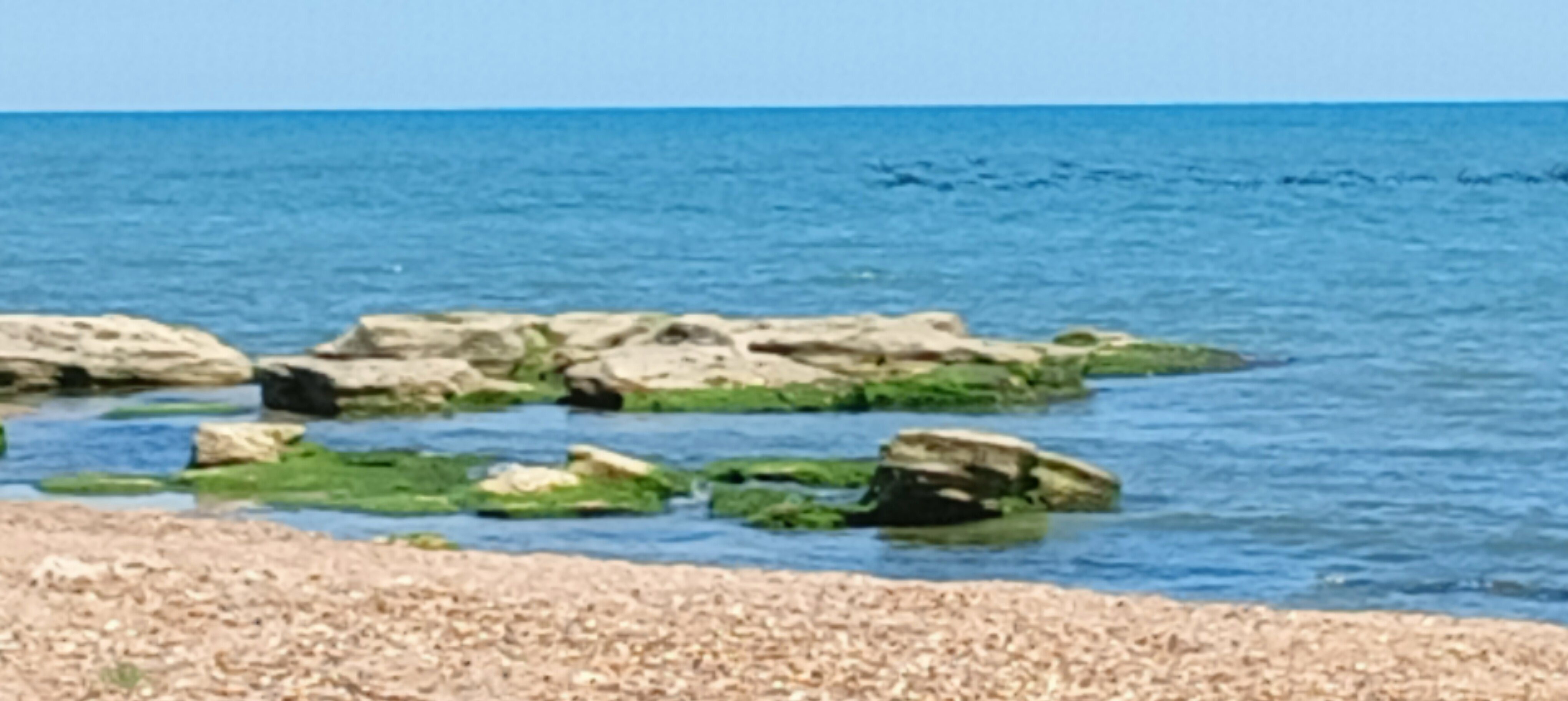 Фото Морская Волна