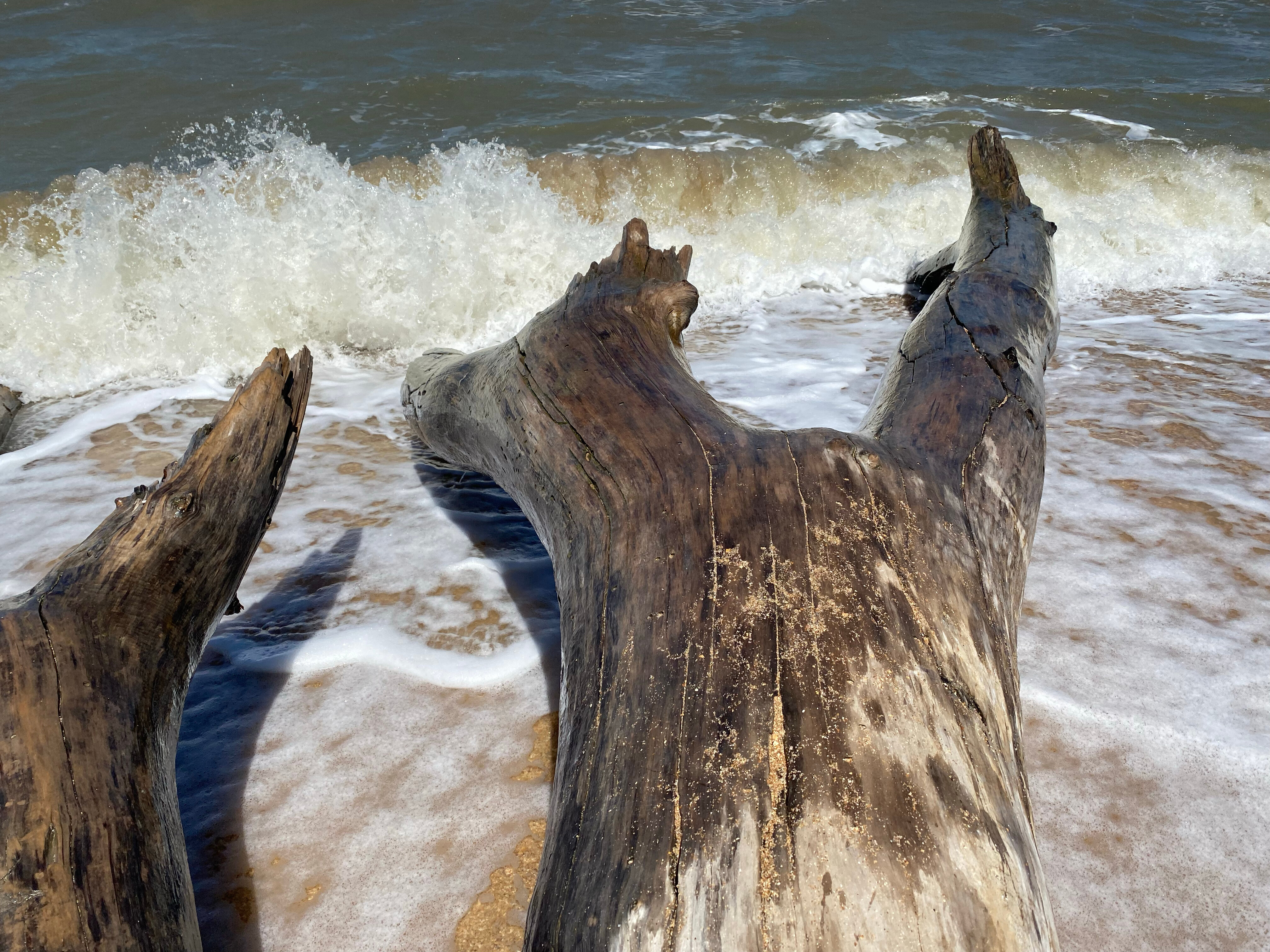 Фото Добрый хозяин