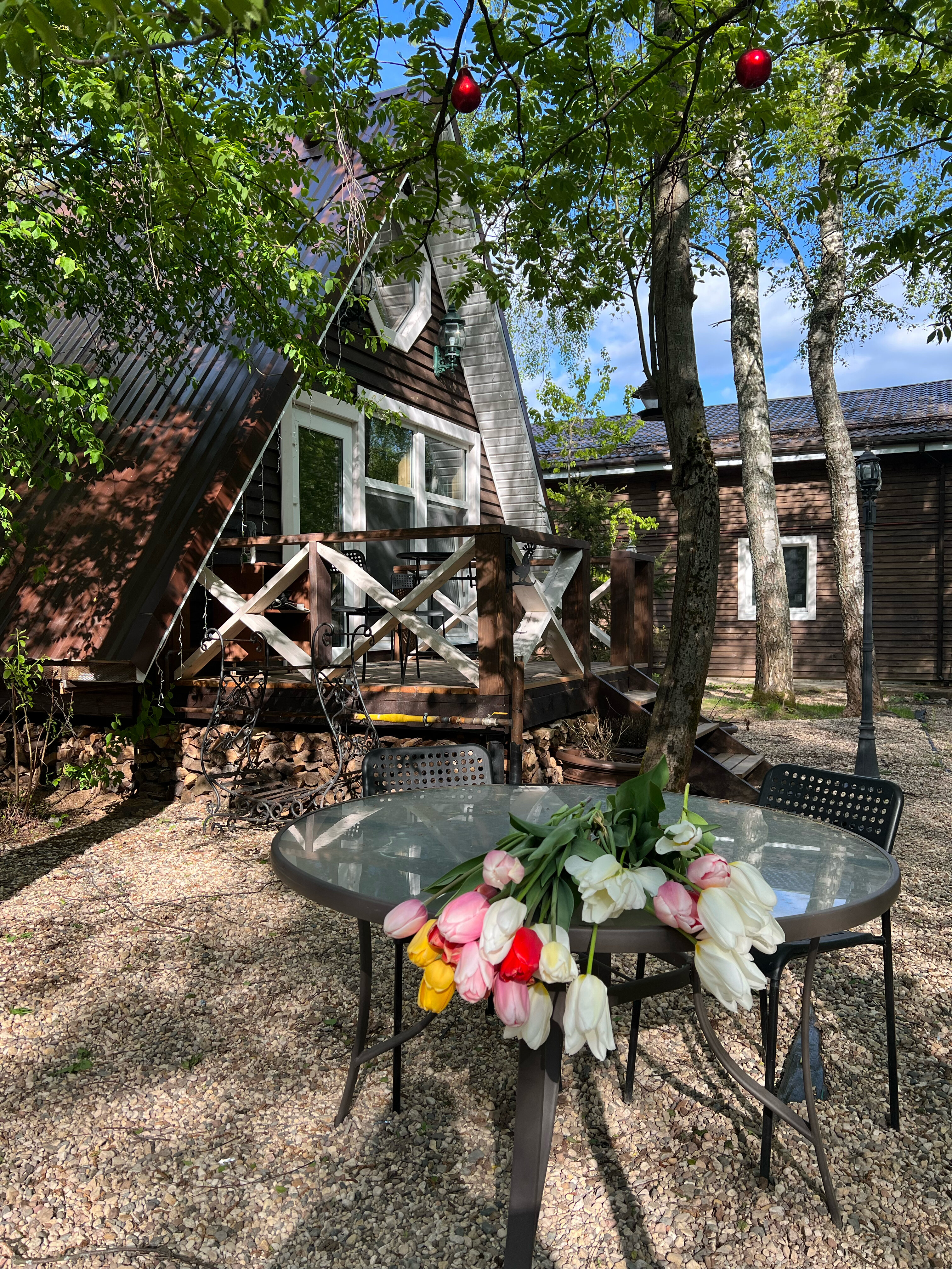 Фото Вечера в Подмосковье