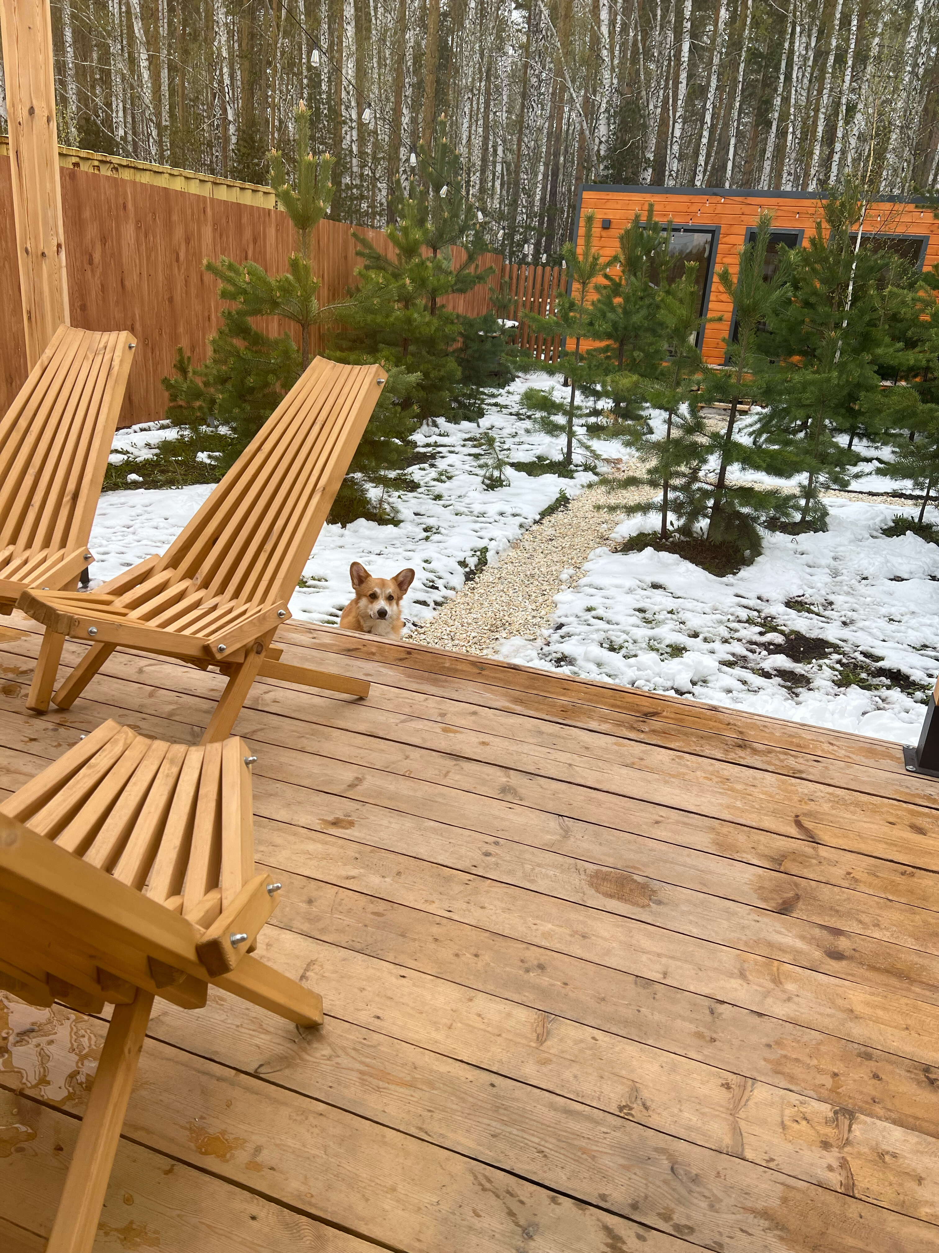 Фото Introvert House