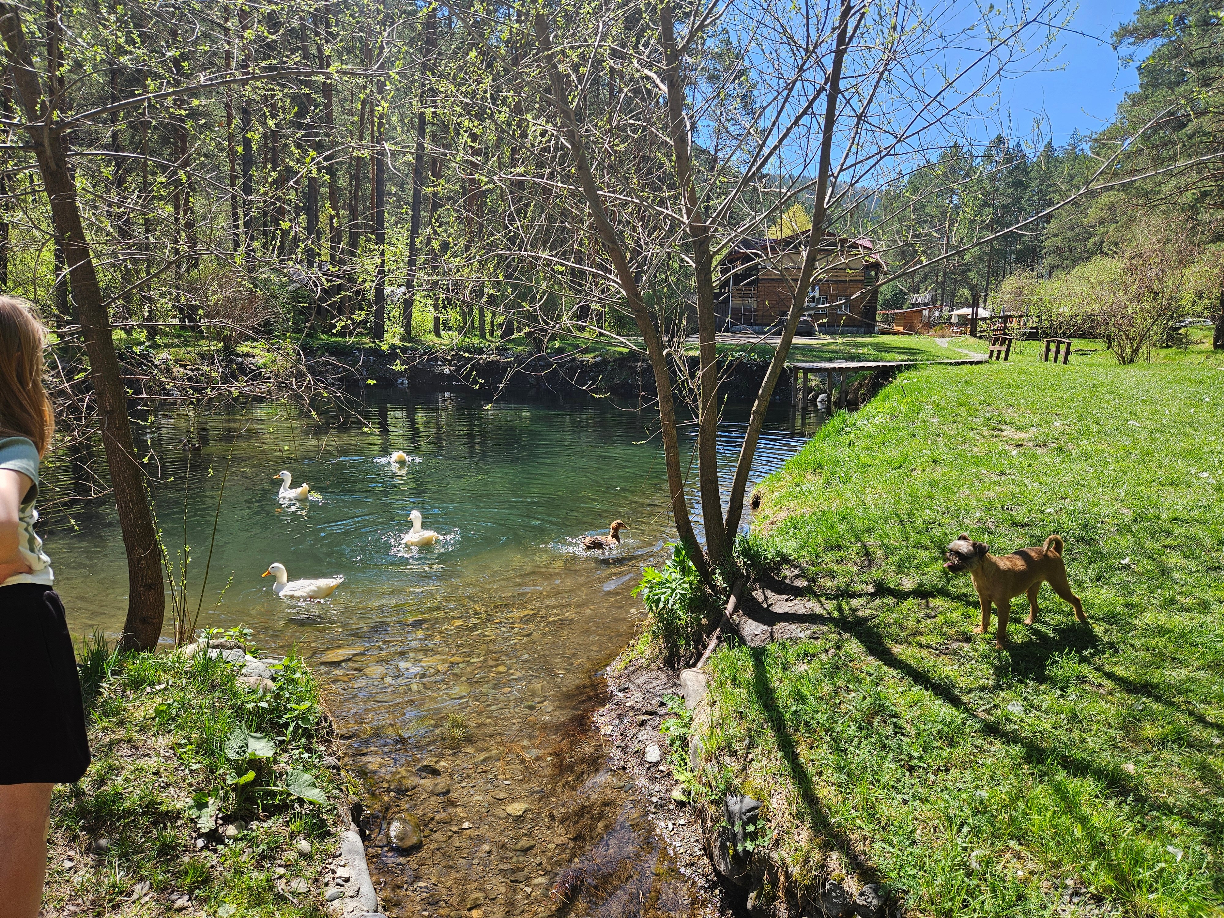 Фото Деревня Берендеевка