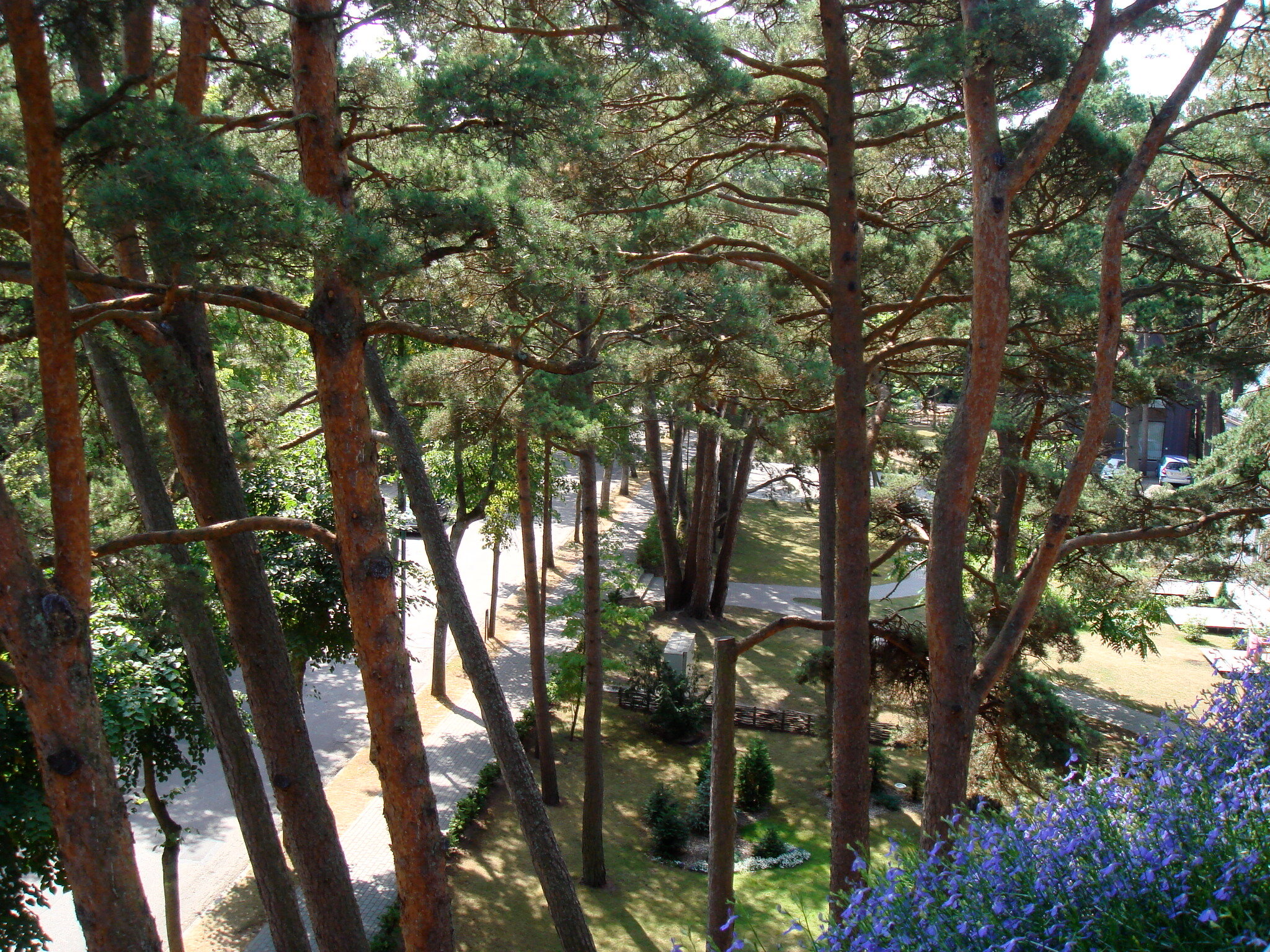 Фото Palanga Life Balance SPA Отель