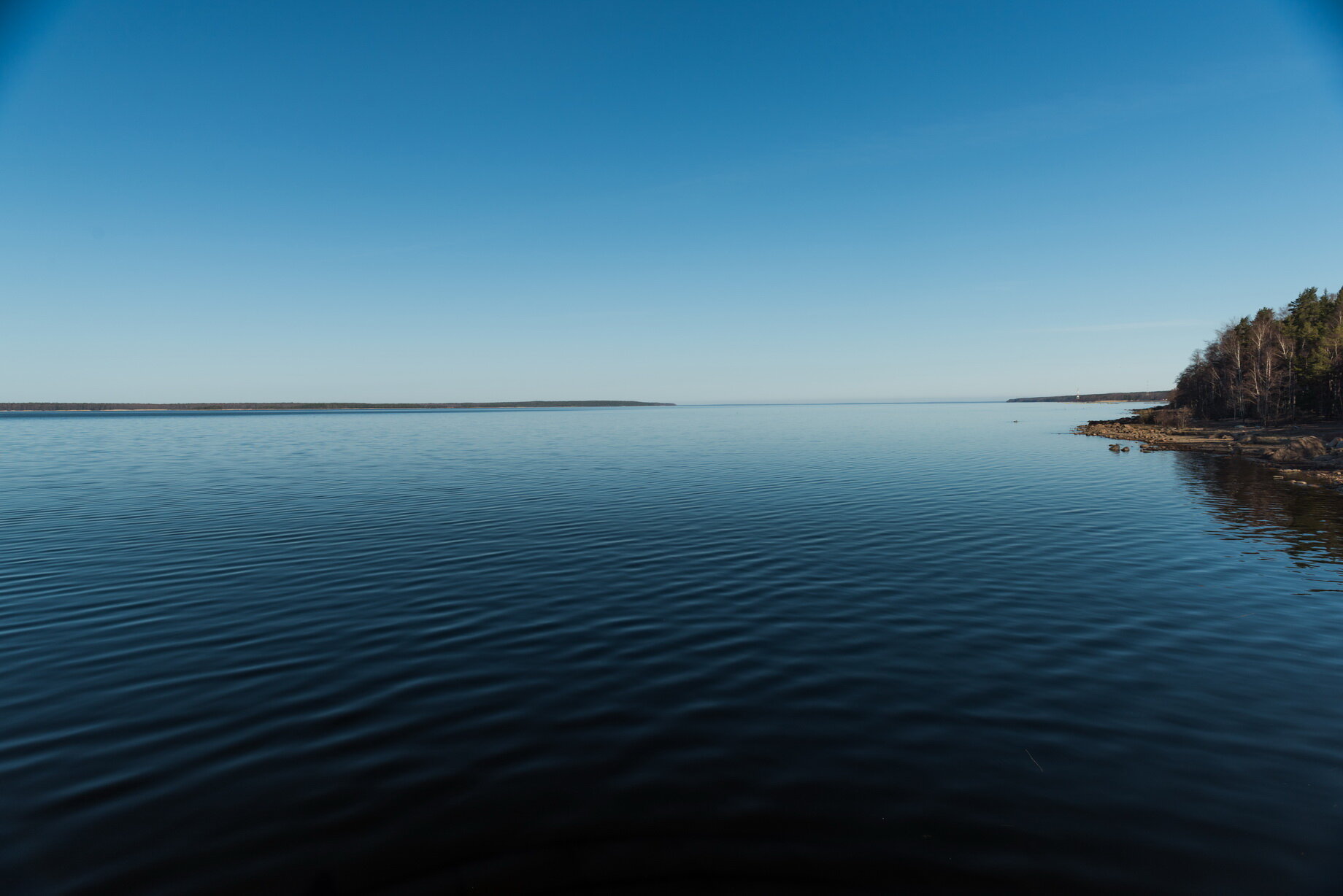 Фото Домик Коиви