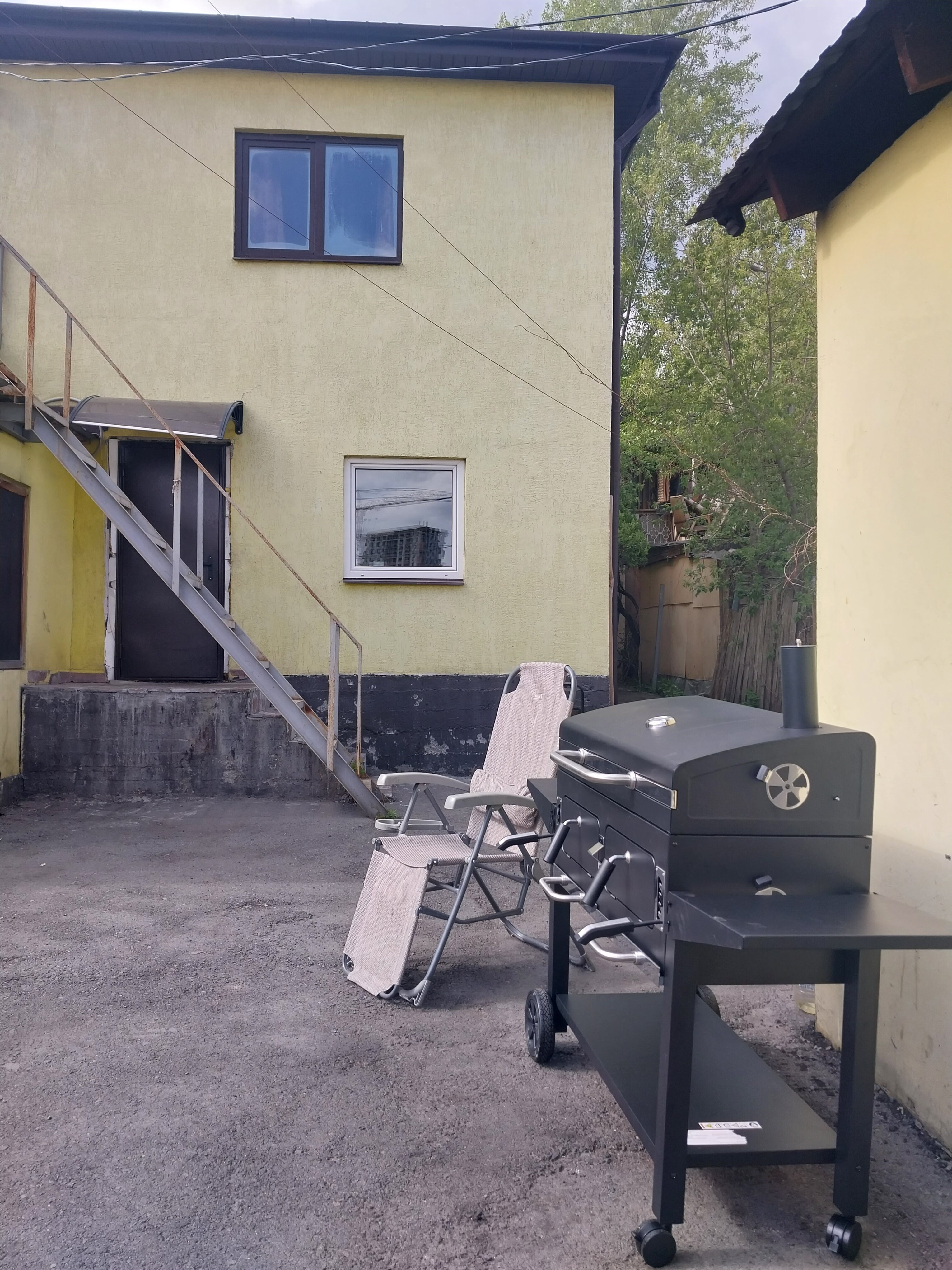 Фото Пальмы