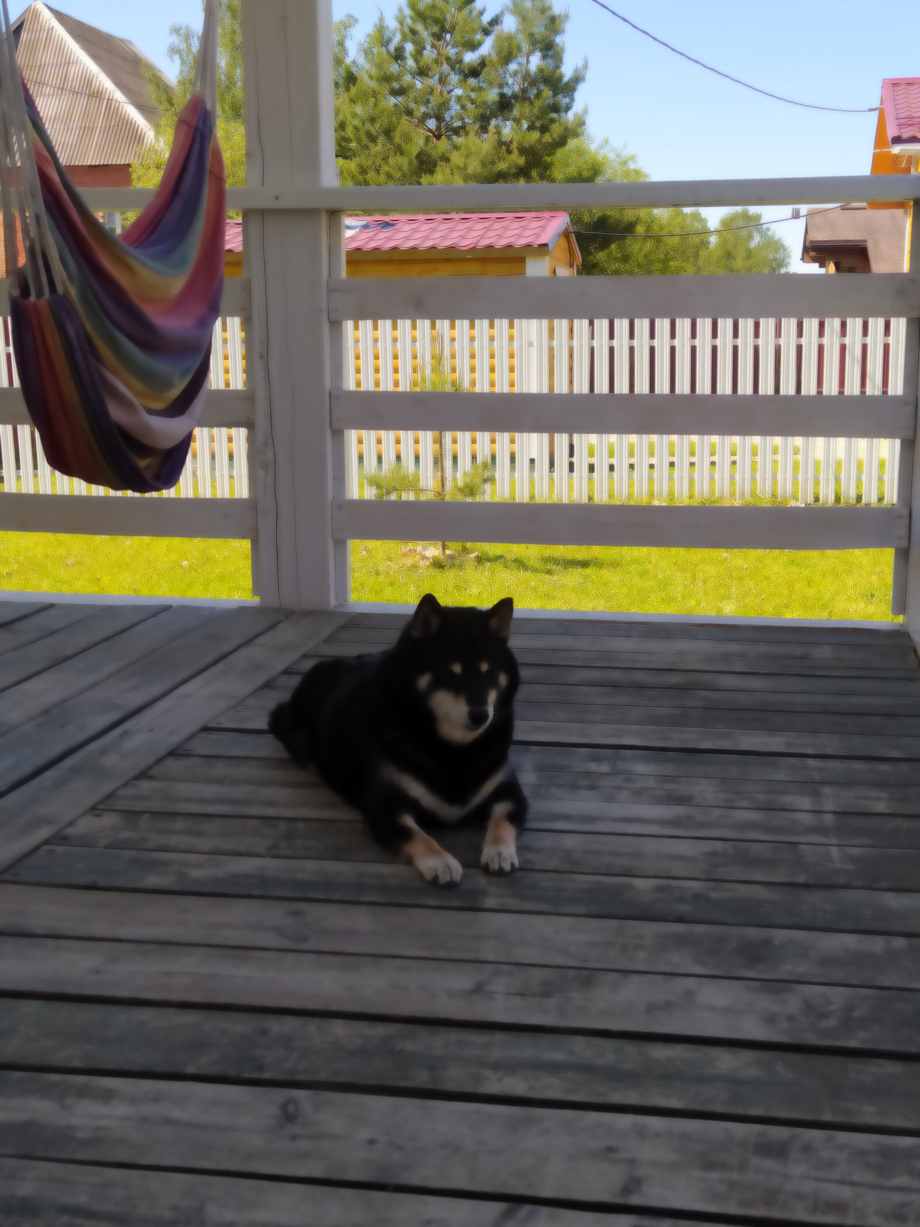 Фото Непросто Дача II