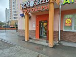 Moi Zver (Mekhanoshina Street, 15) ، متجر للحيوانات الأليفة
