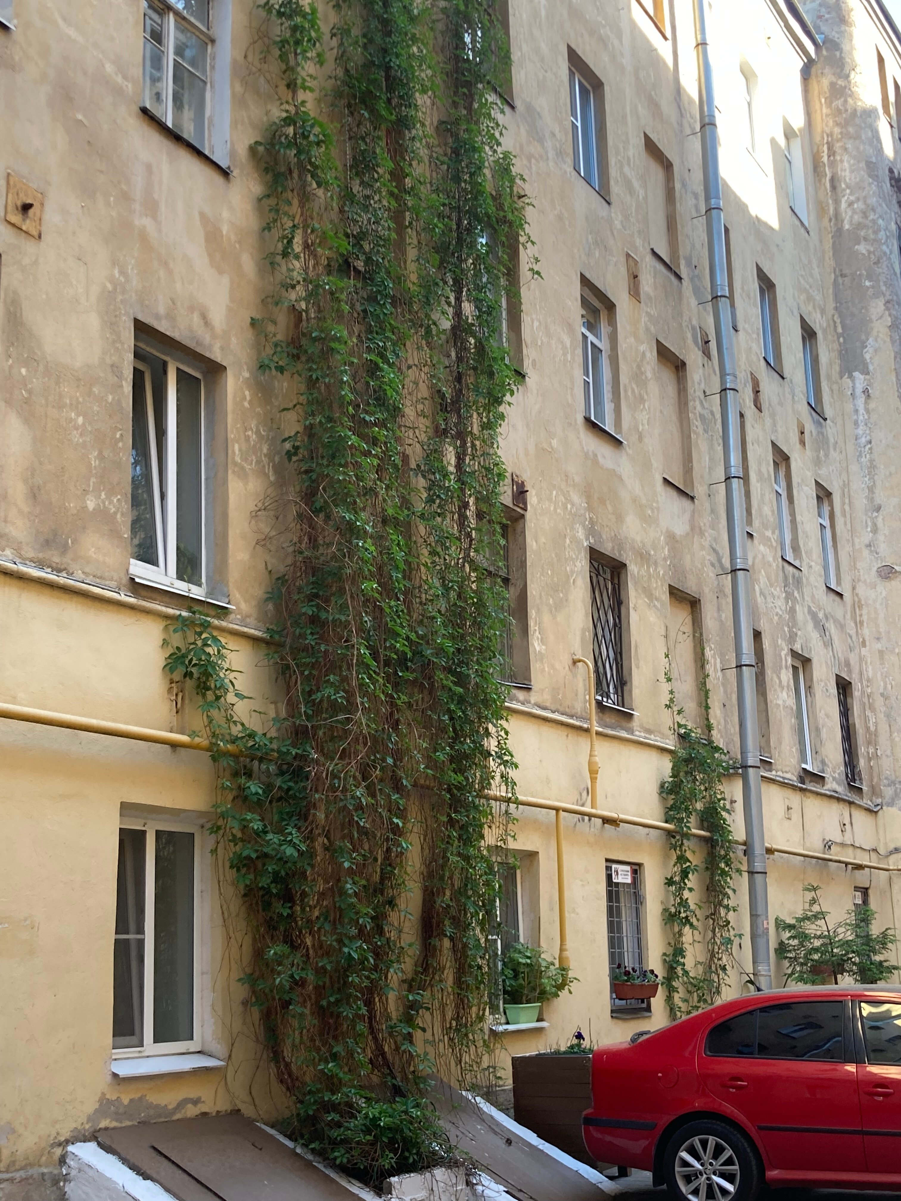 Фото Птички