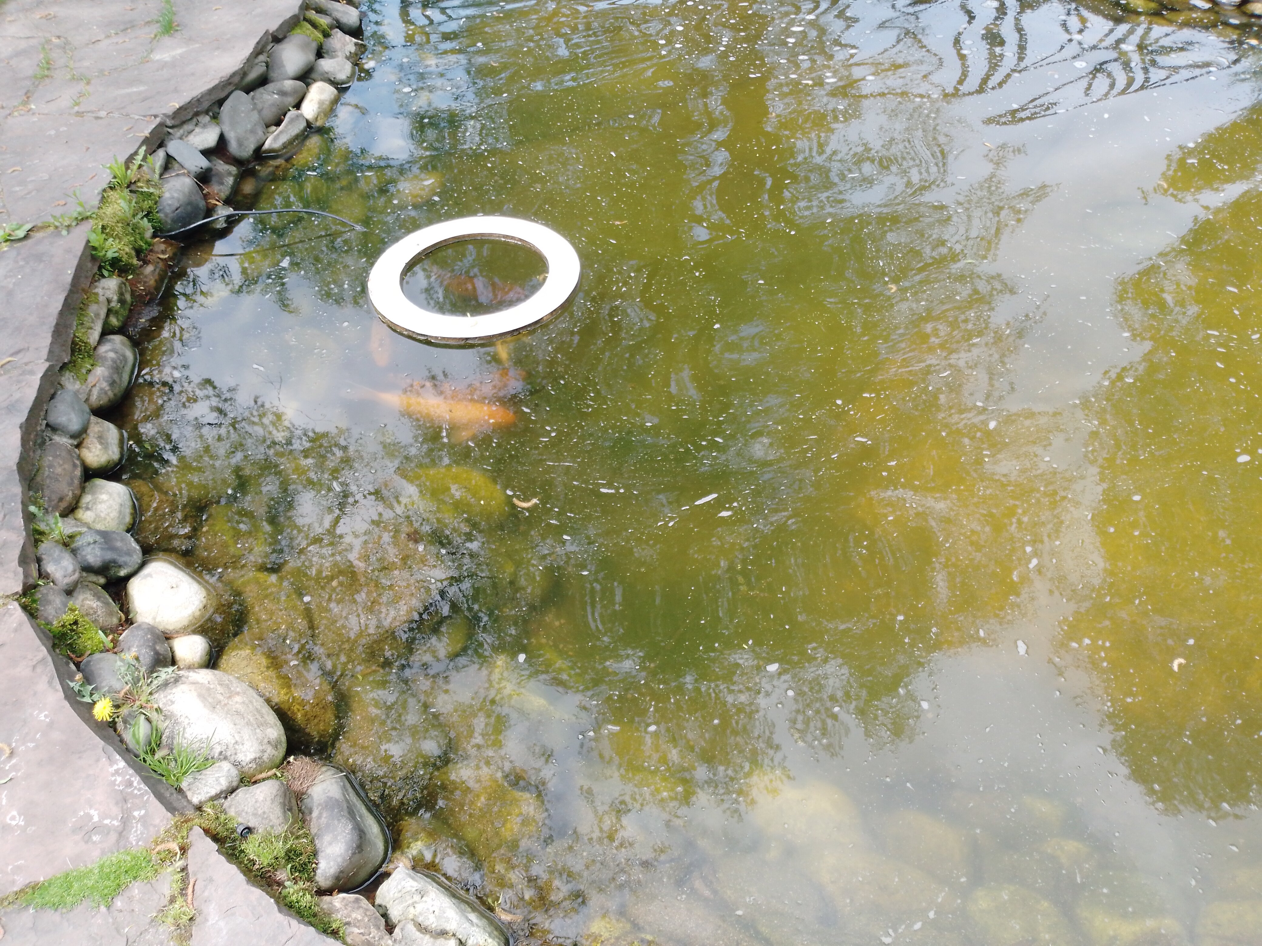 Фото Восход