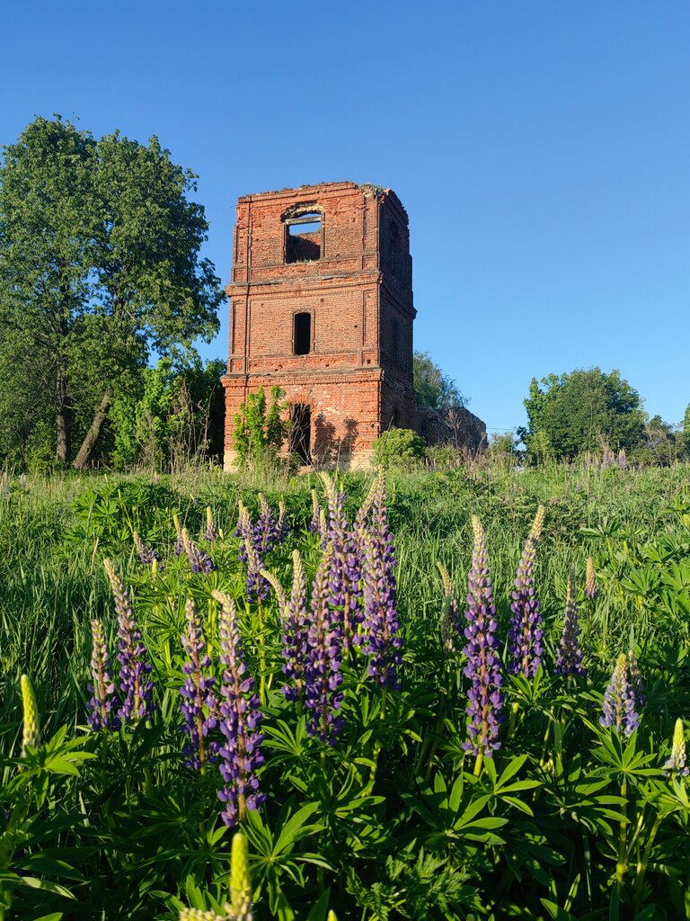 Orthodox church Tserkov Lazarya Pravednogo Voskresheniya V Korokhotkino, Smolensk Oblast, photo