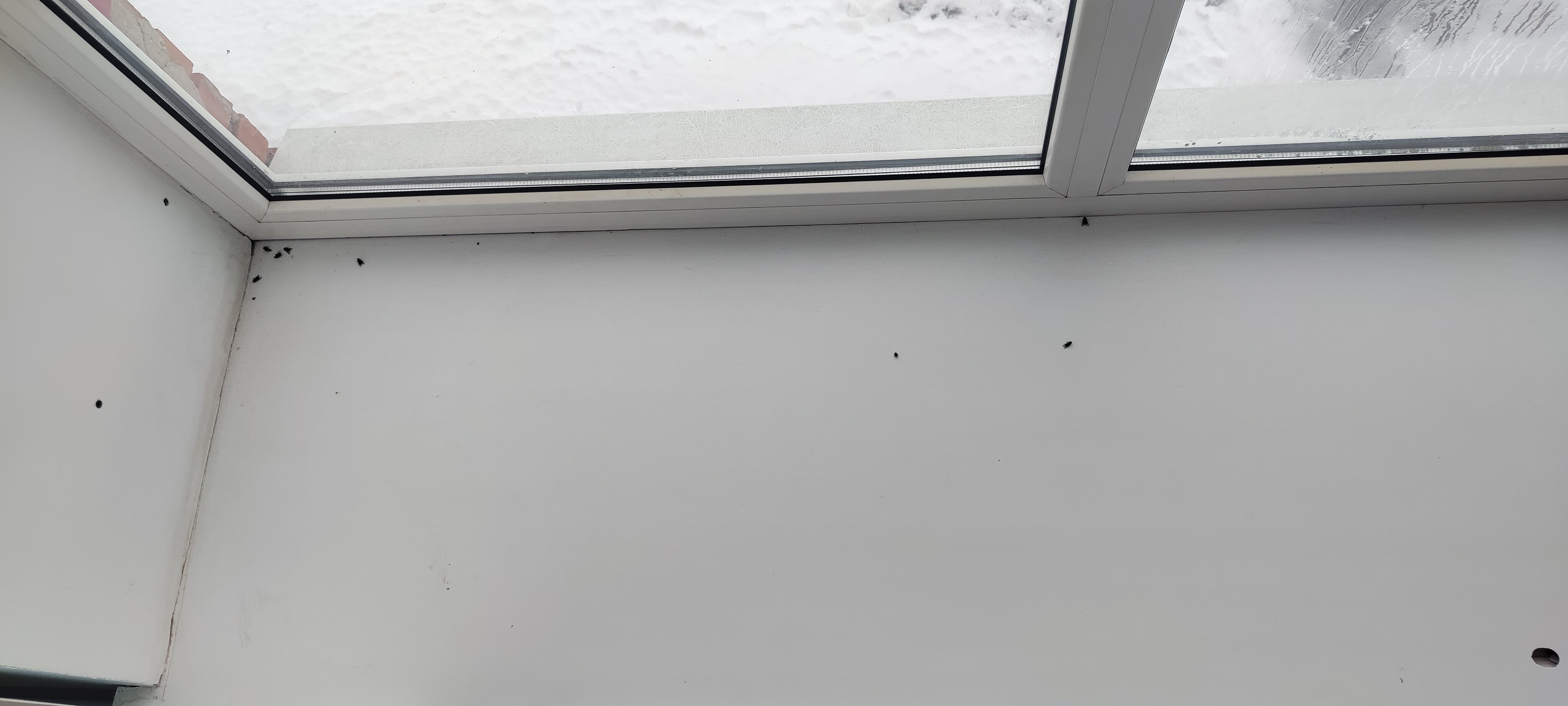 Фото Гостиный двор