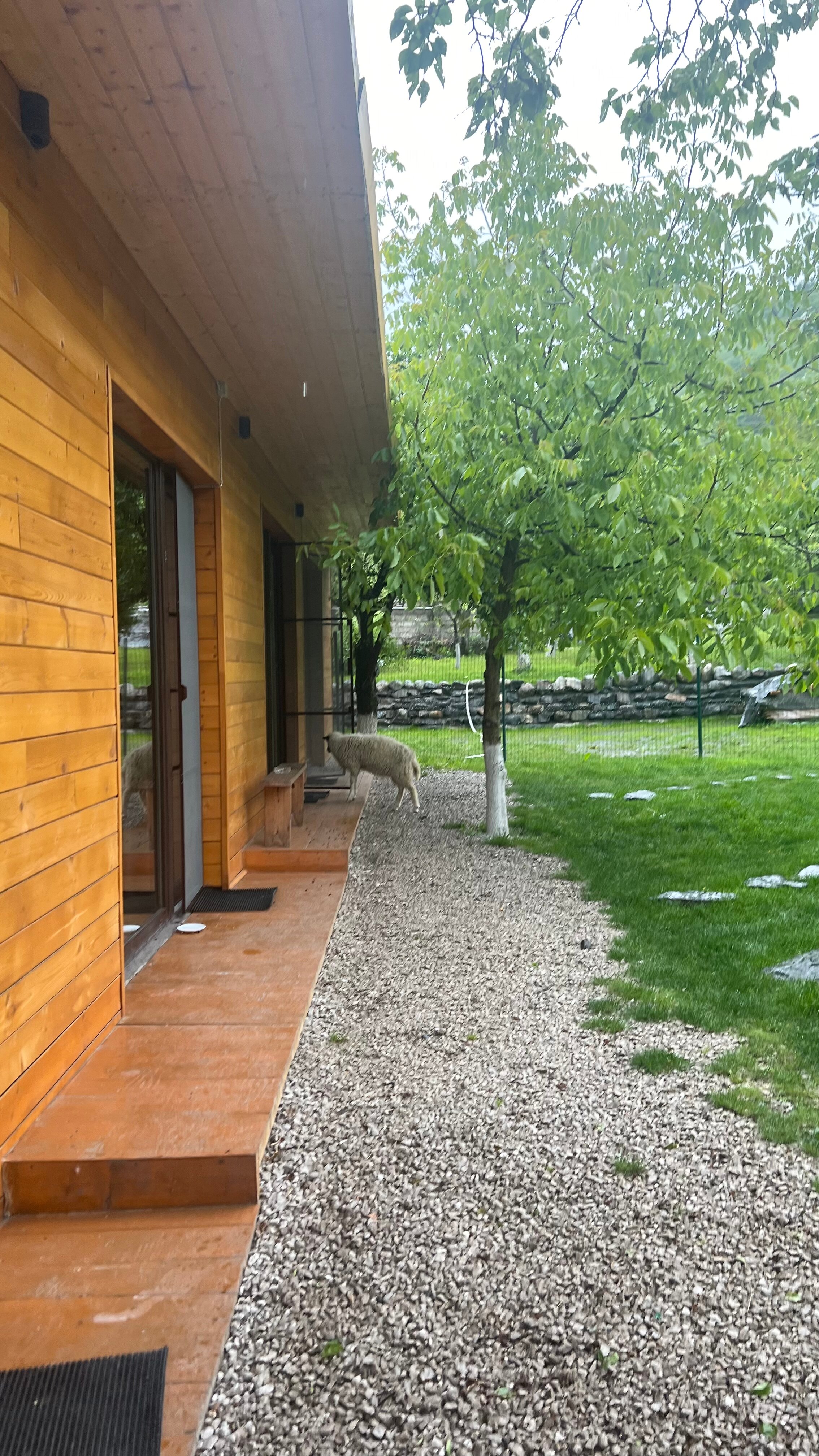 Фото Фруктовый Сад