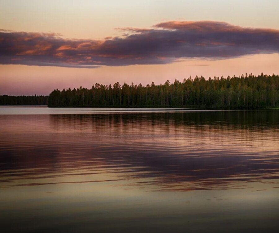Фото Четыре Сезона
