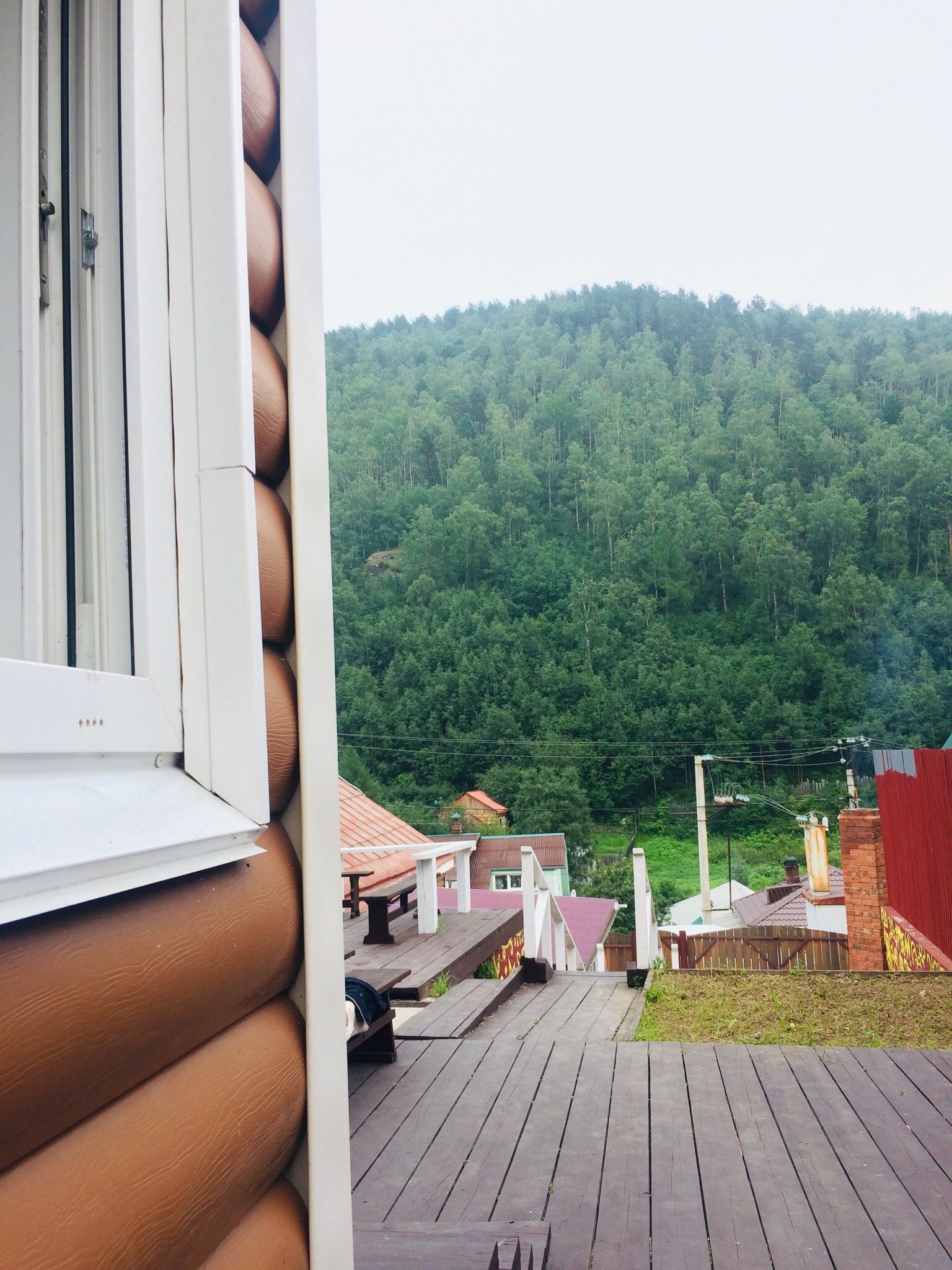 Фото Бодрый Медведь