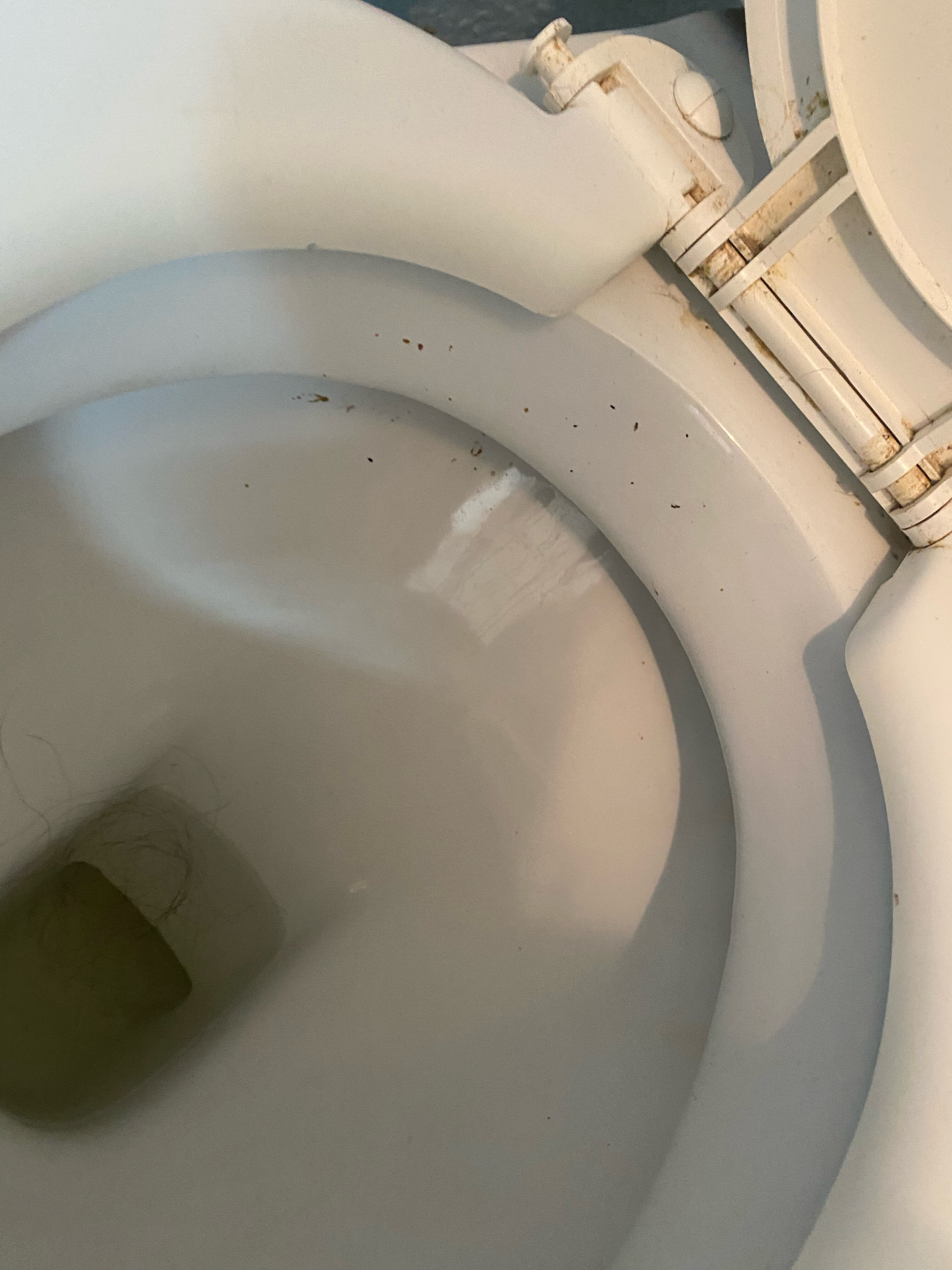 Фото Нептун