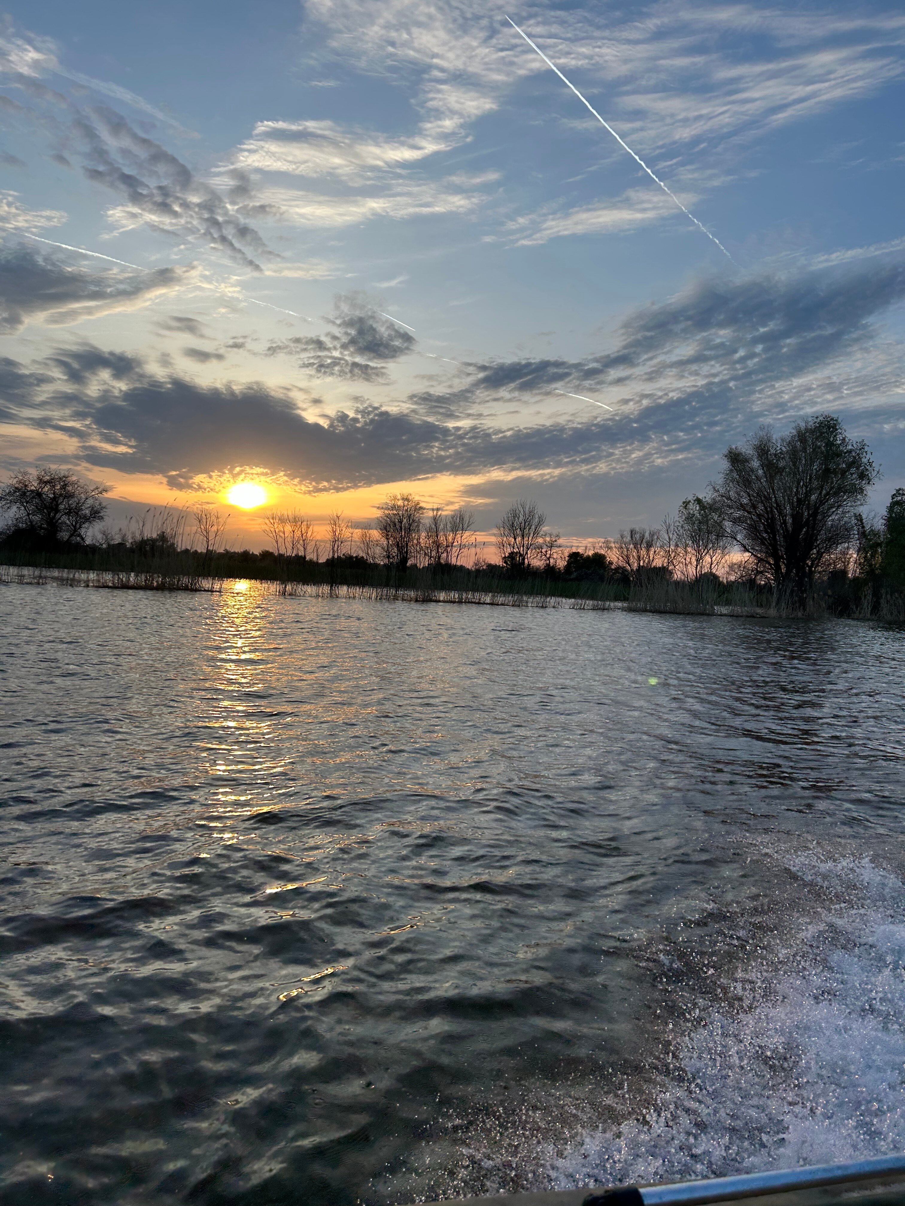 Фото У Михалыча