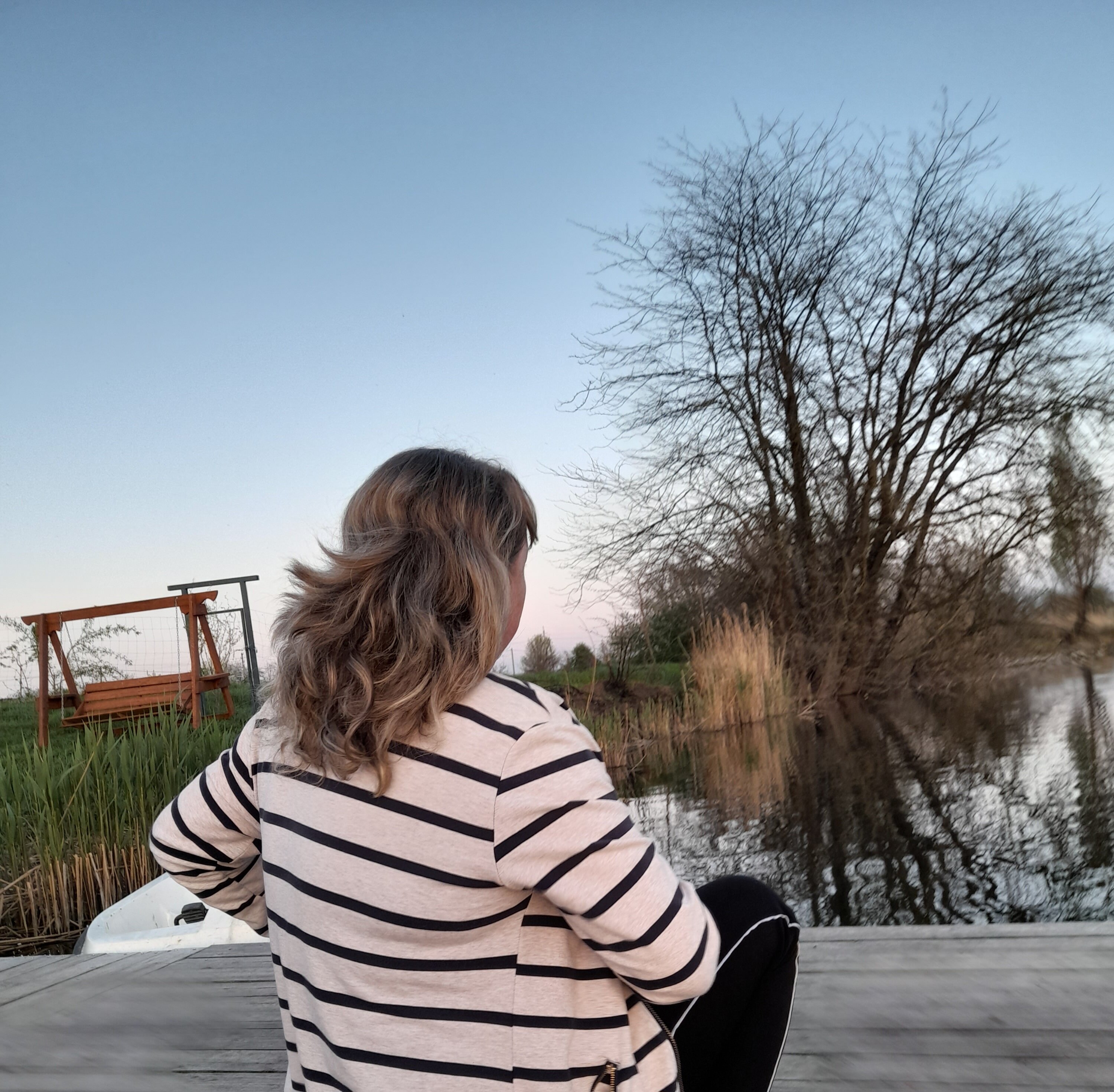 Фото Река лес