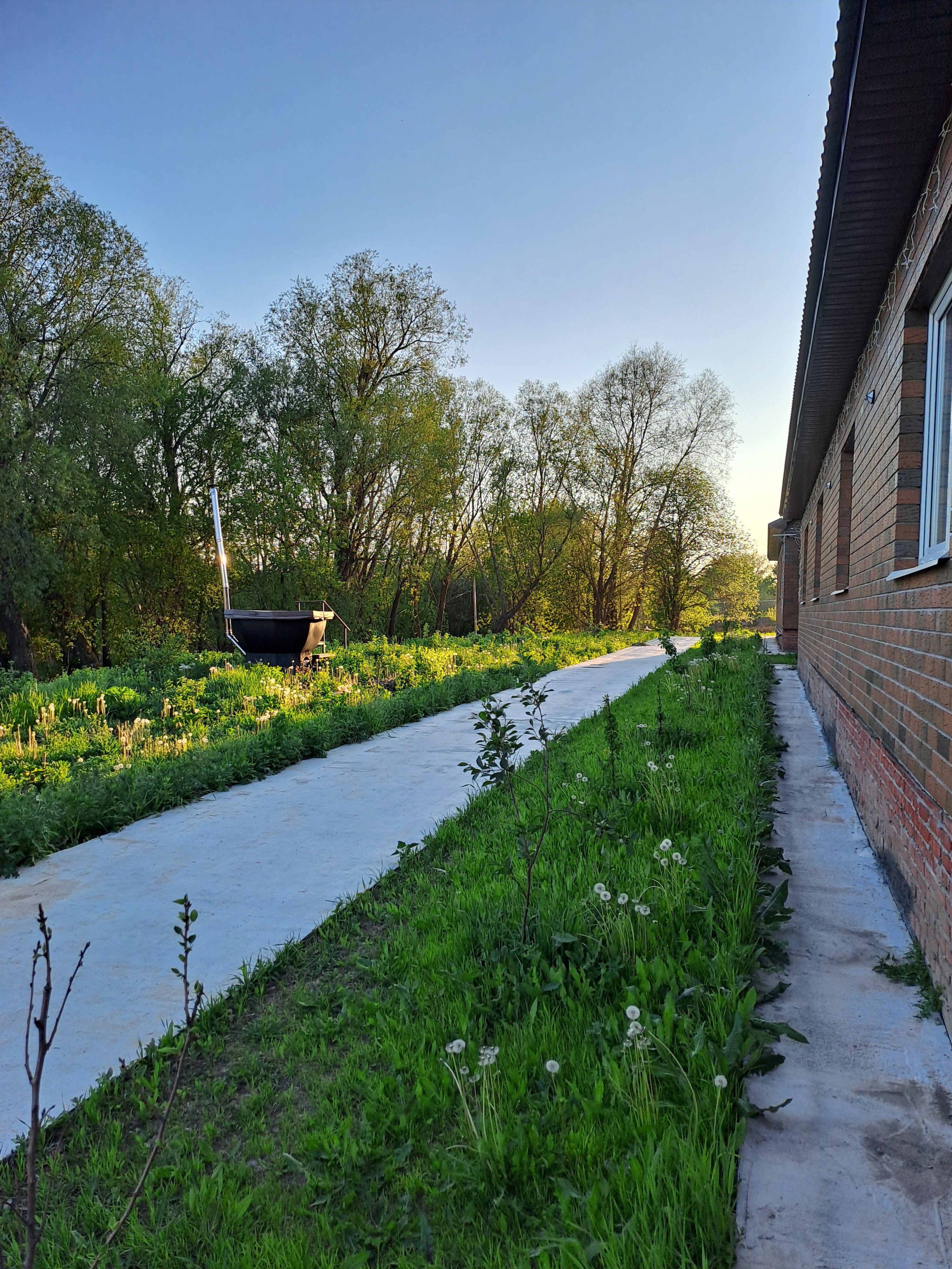 Фото Ёлки-Палки