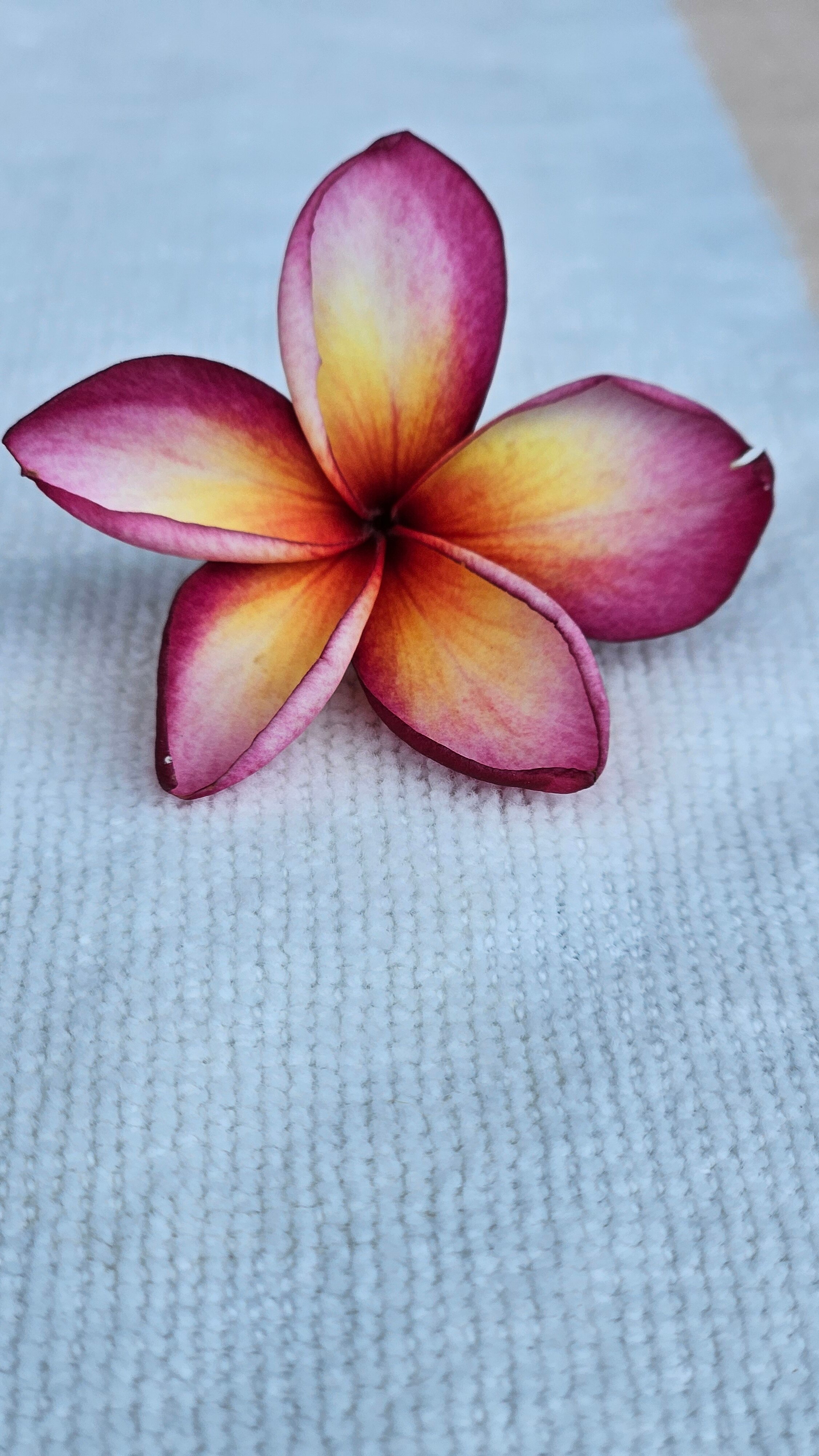 Фото InterContinental Pattaya Resort