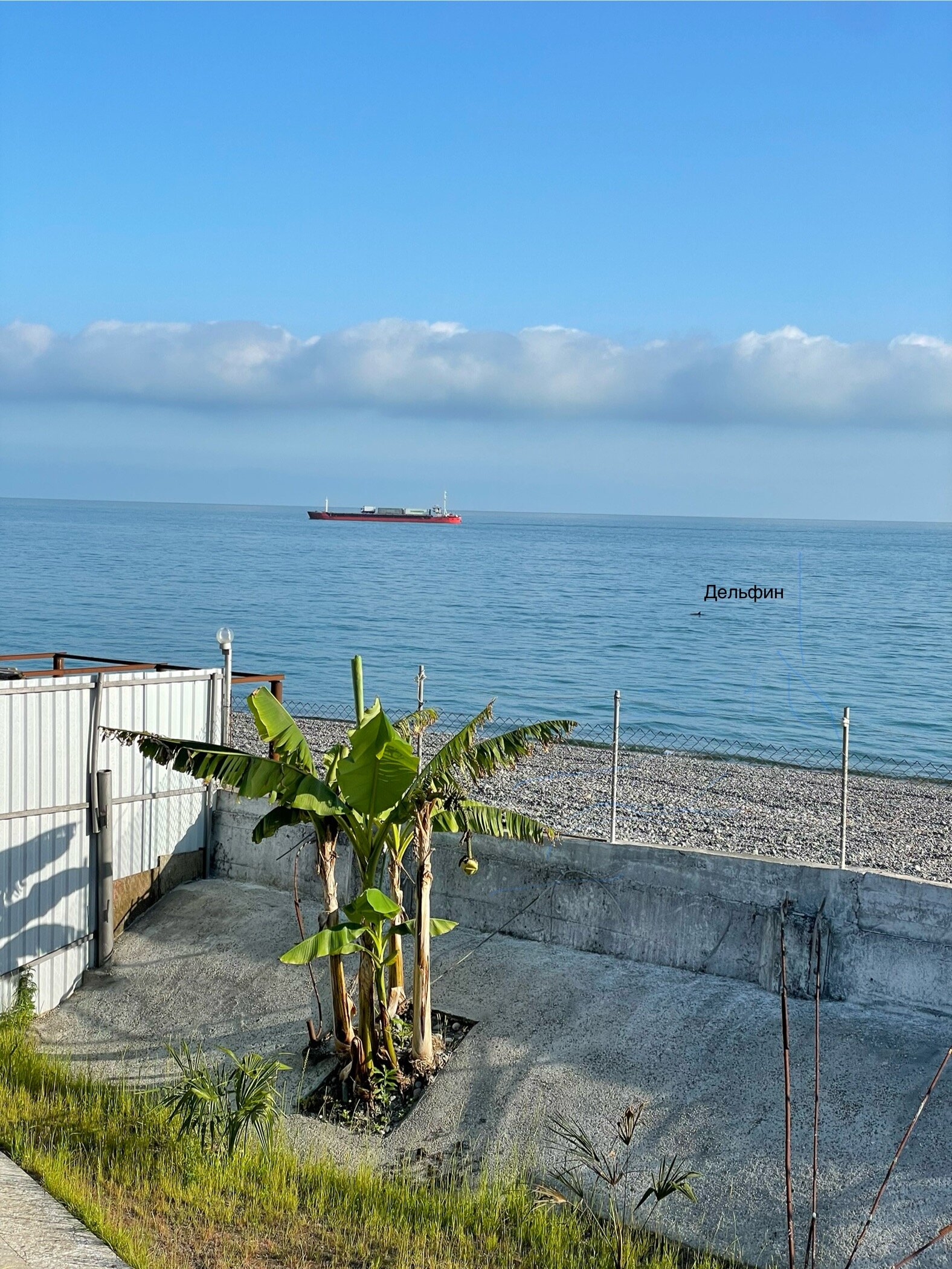 Фото Мыс Сухума