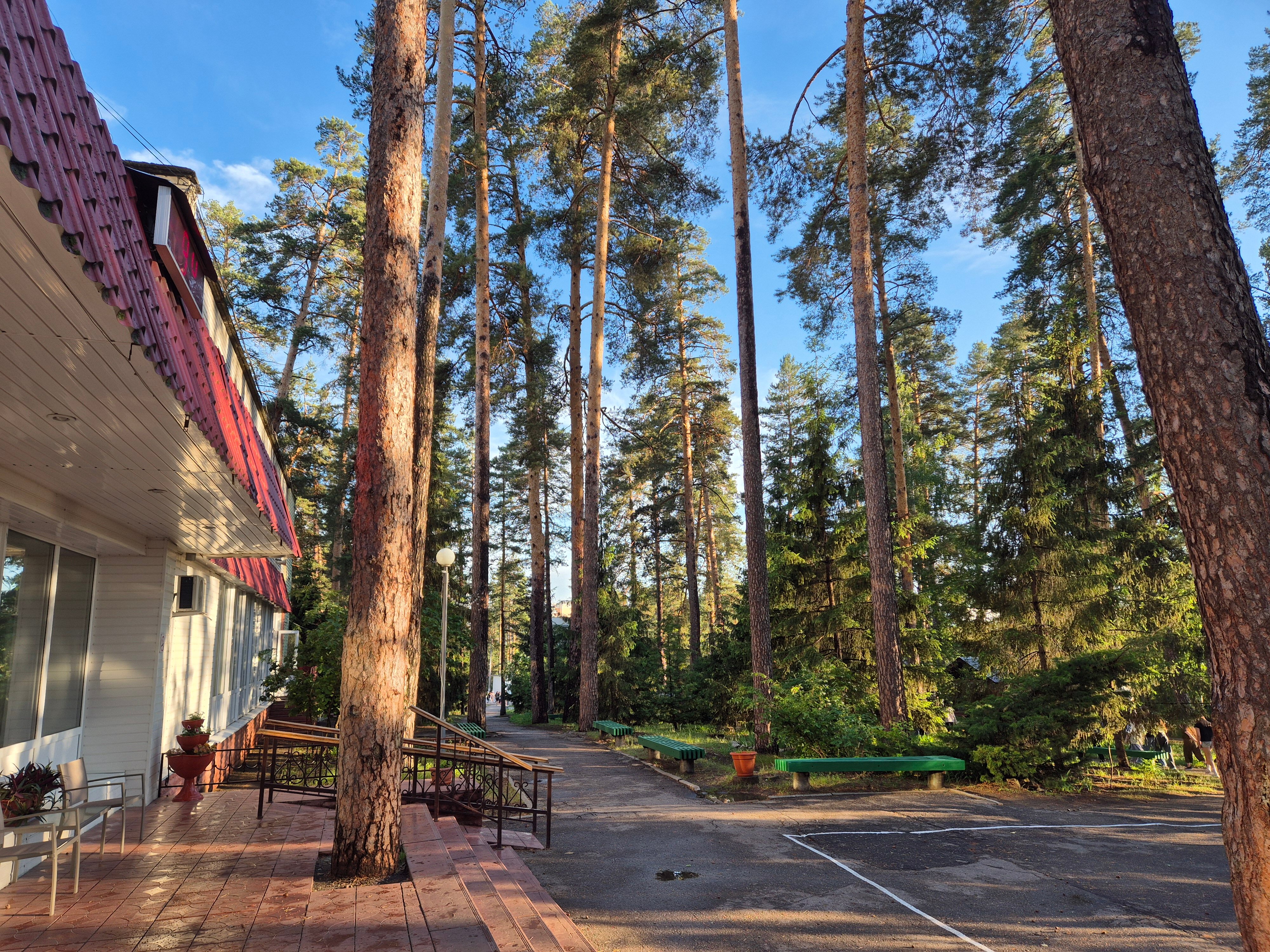 Фото Сосновый бор