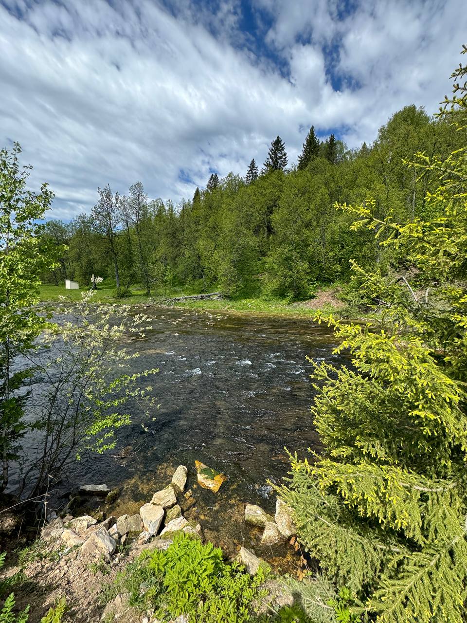 Фото Берег Сарвы