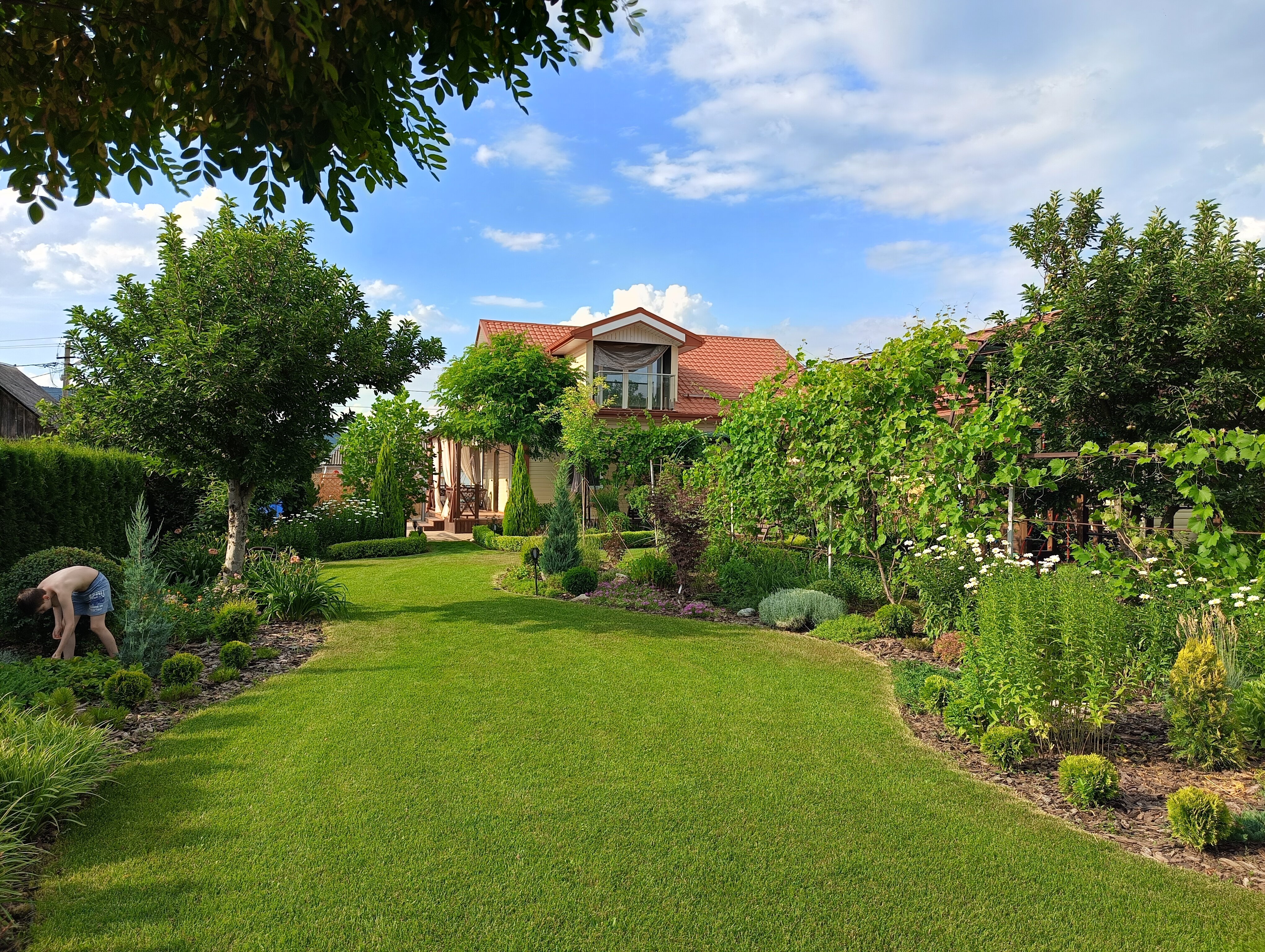 Фото Дача на юге