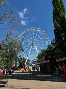 Колесо обозрения (Republic of Bashkortostan, Sterlitamak, park kultury i otdykha imeni Yu.A. Gagarina), amusement ride