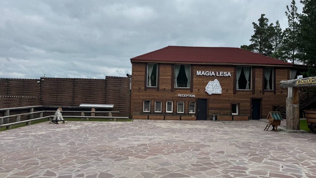 Фото Магия леса