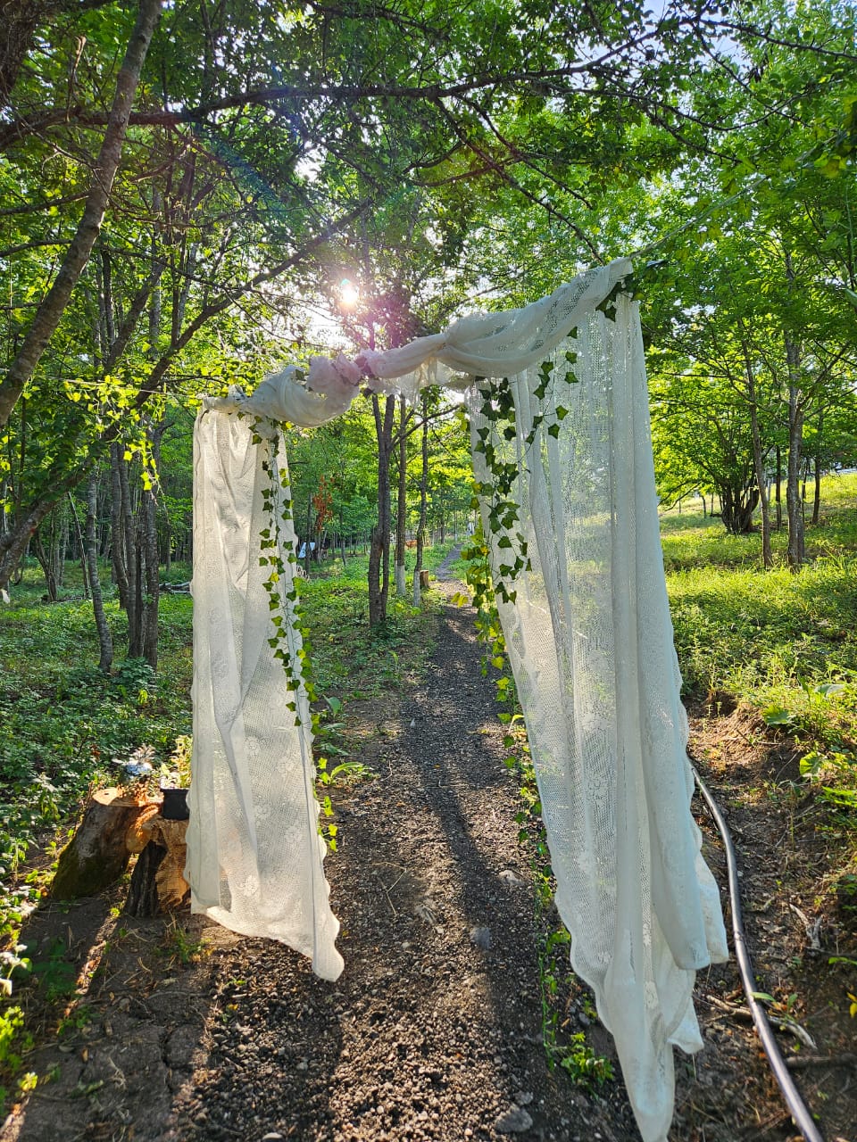 Фото Солнечный Склон