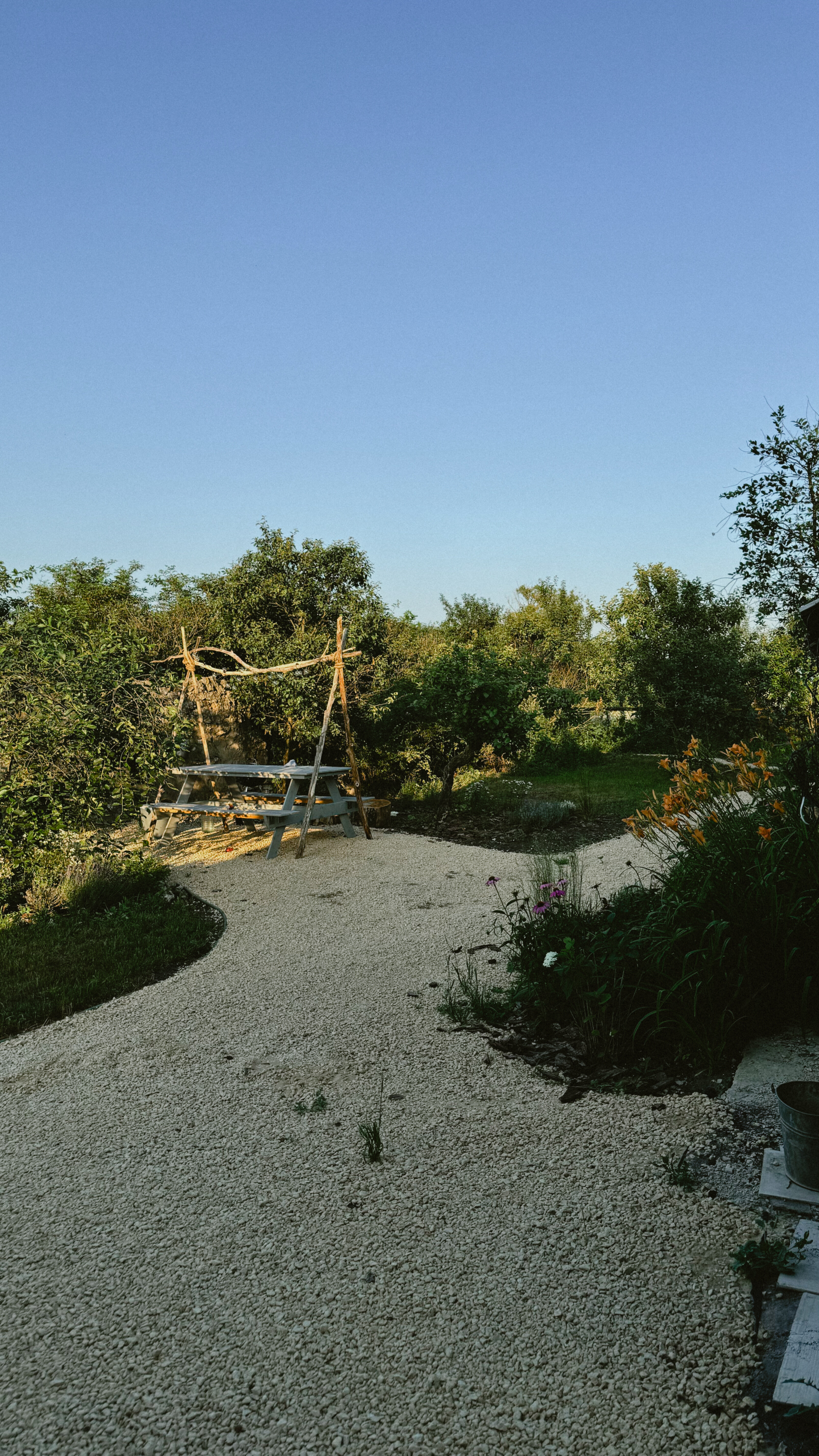 Фото Галки дом