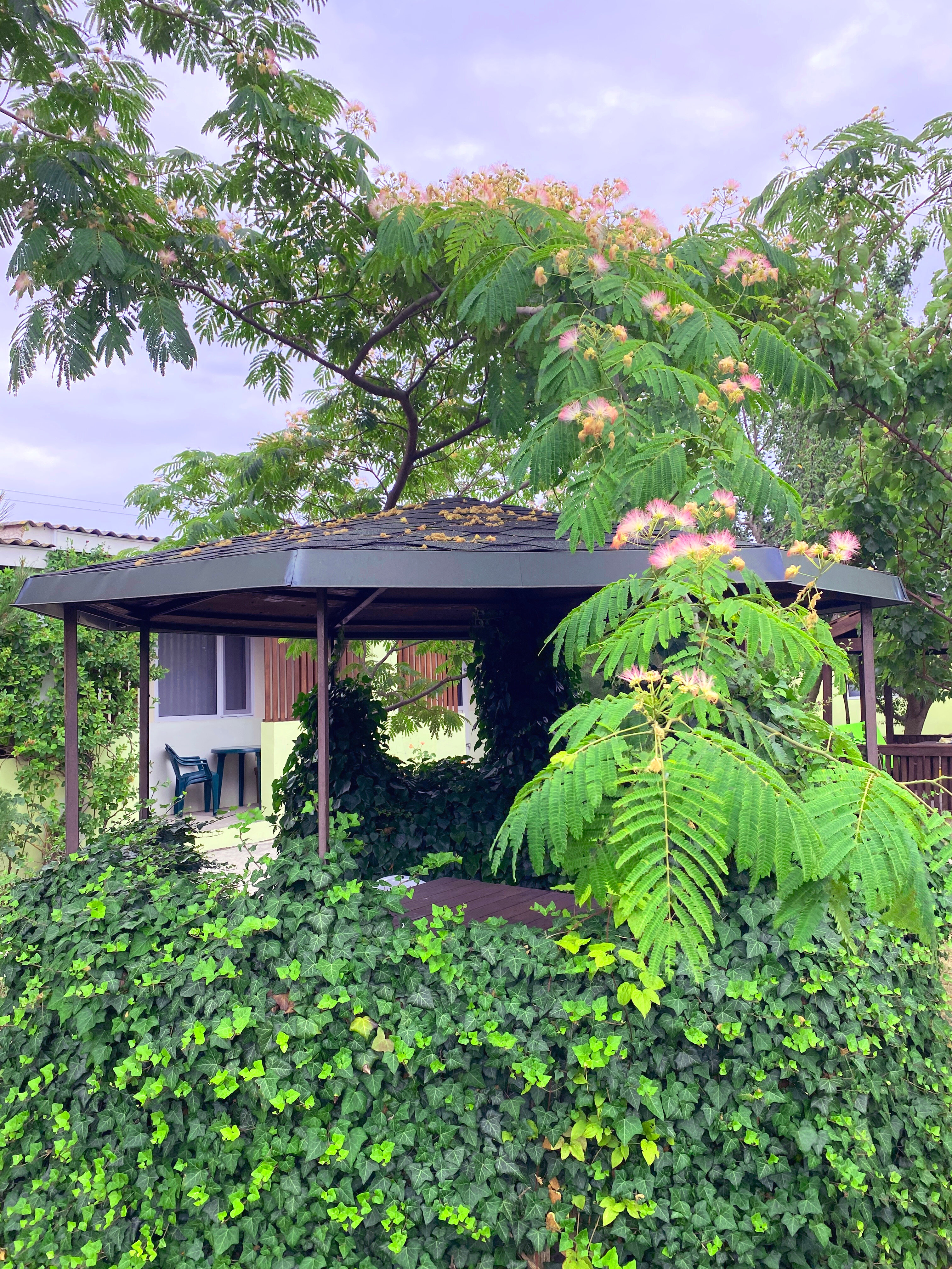 Фото АвокаДа