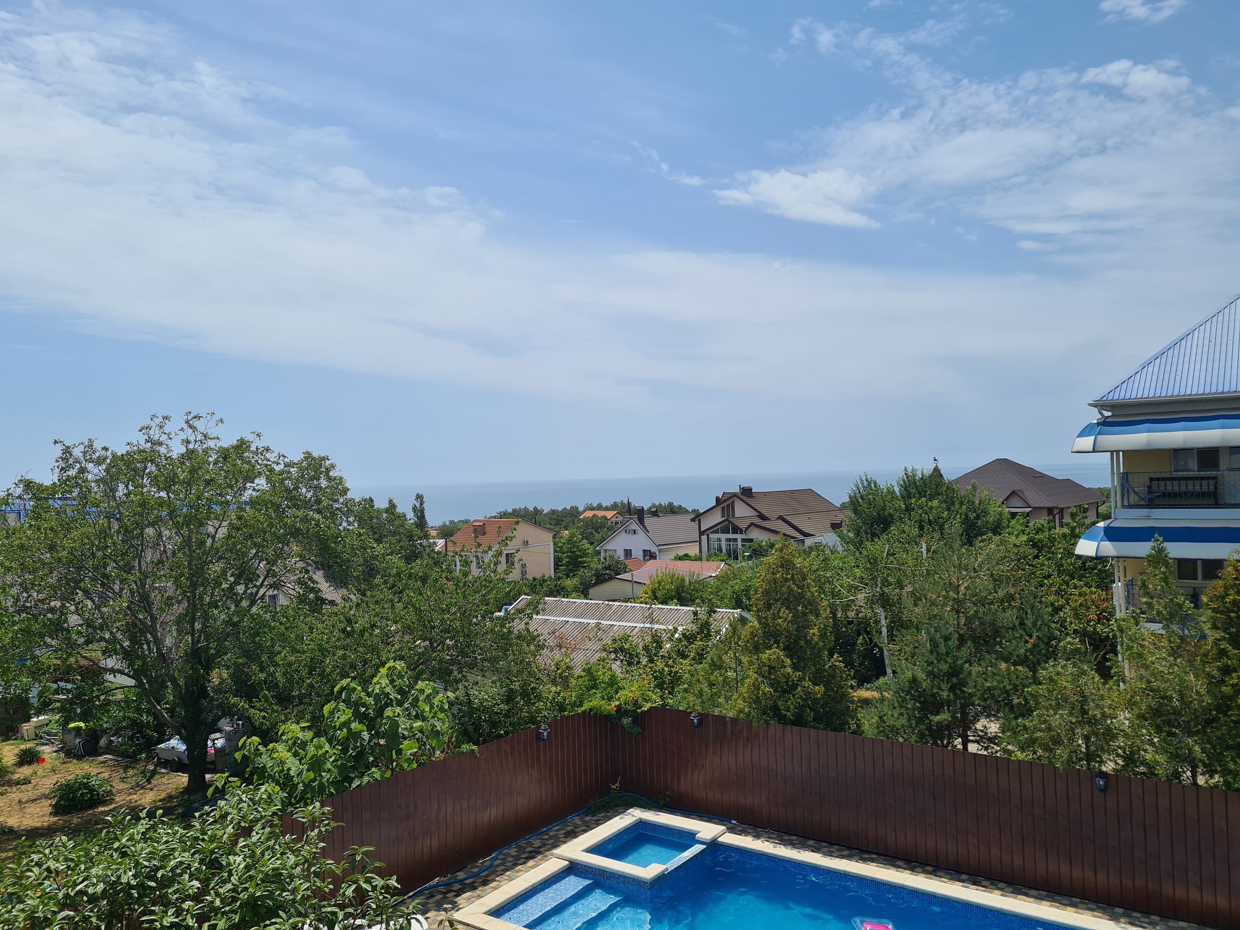 Фото Альбатрос